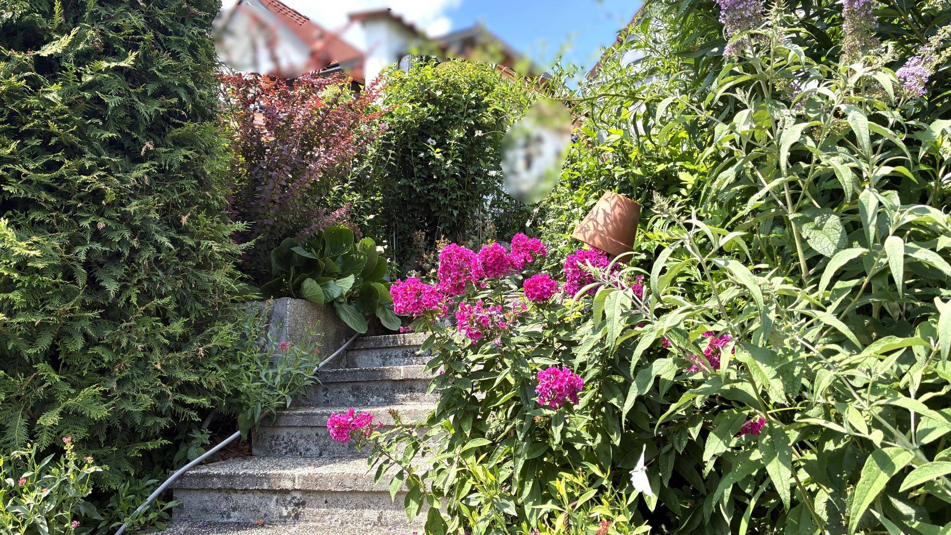 Steintreppe im Garten, umgeben von üppigem Grün und blühenden rosa Blumen.