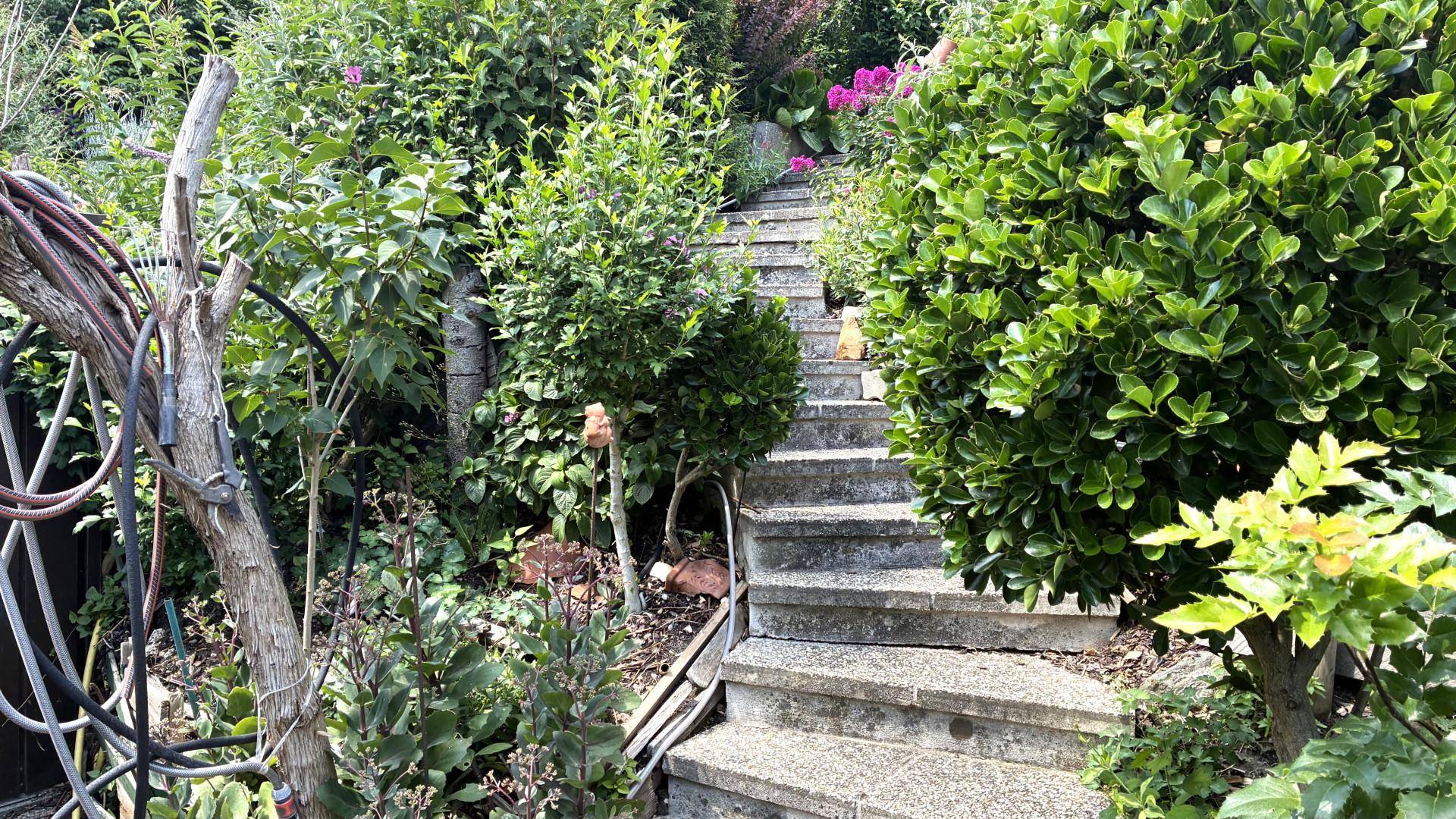Serpentinenweg mit Steinstufen durch den dicht bewachsenen Gartenbereich.