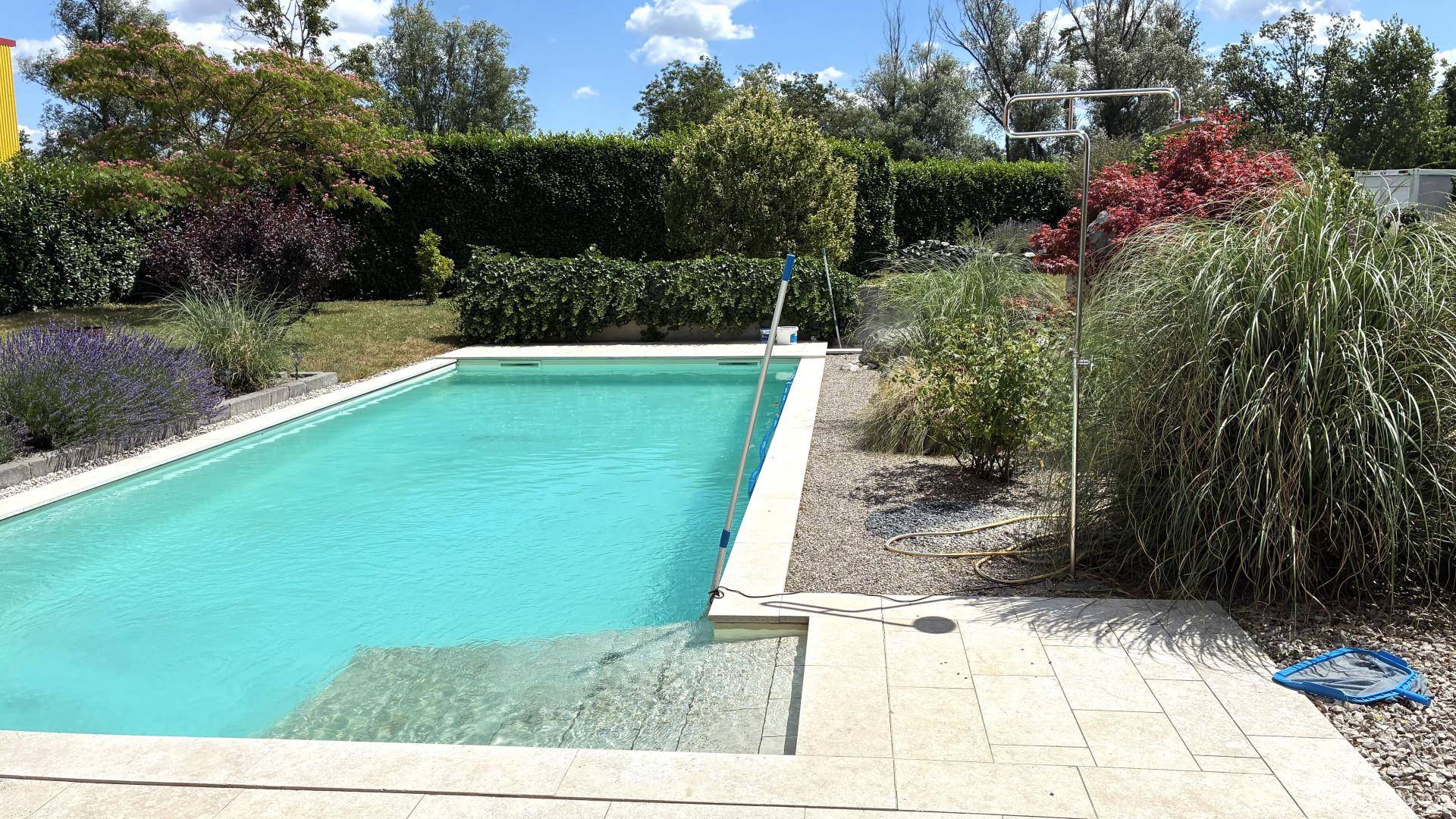 Türkisfarbener Swimmingpool mit gefliestem Rand, umgeben von Ziergräsern und Lavendel.