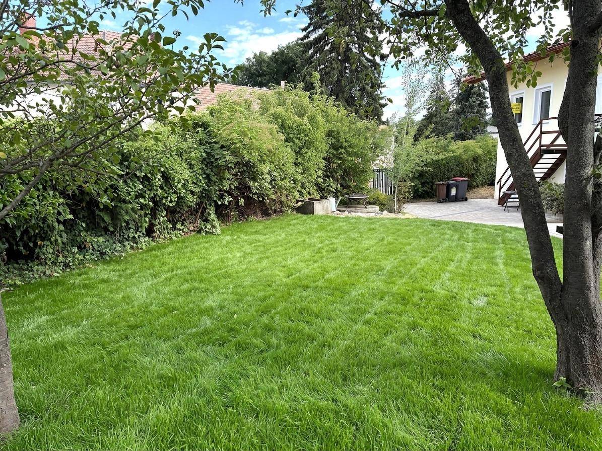 Gepflegter grüner Rasen im Gartenbereich mit Bäumen und Hecken.