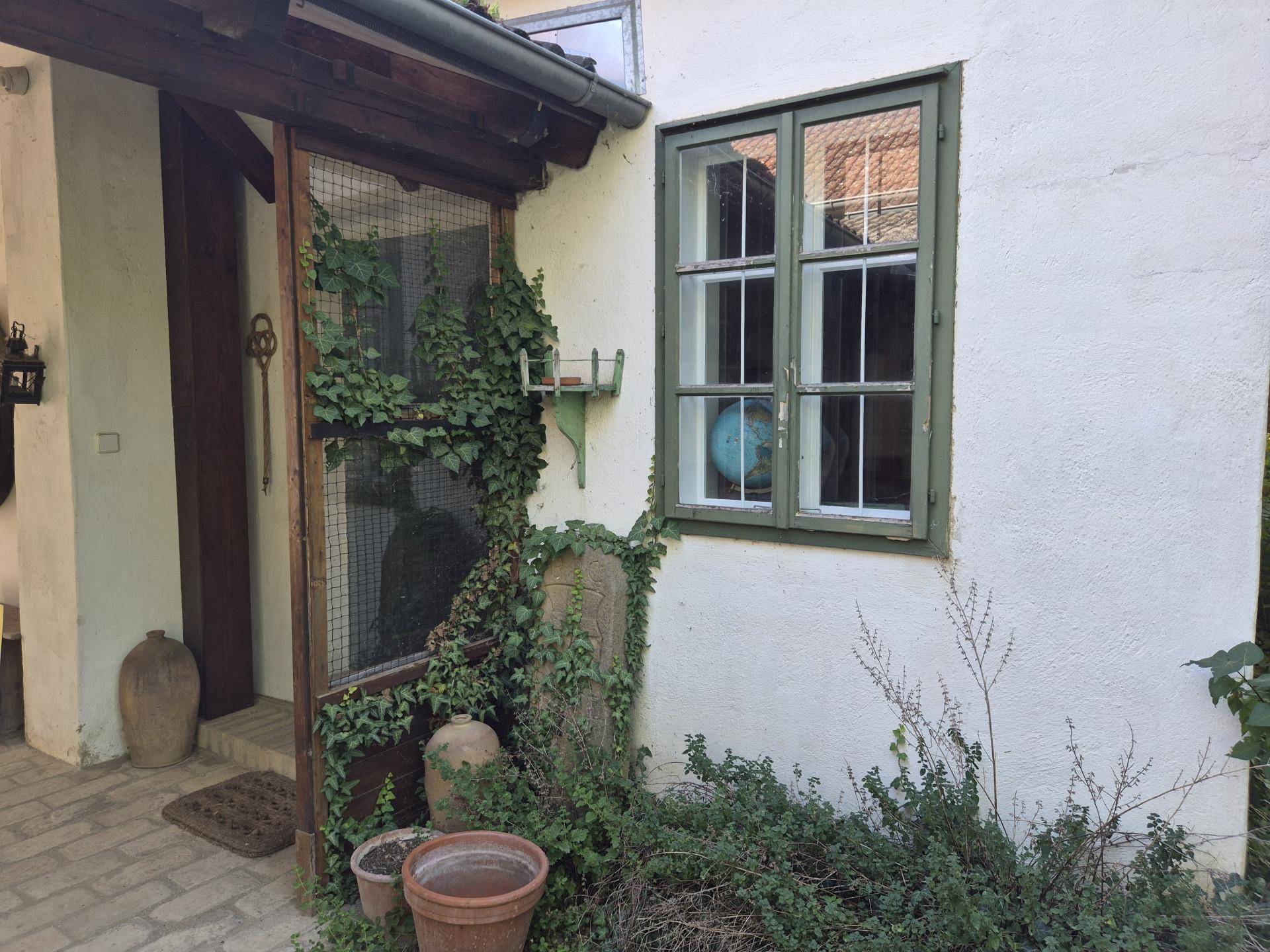 Detailansicht der Hausfassade mit Fenster, Efeu und Topfpflanzen im Eingangsbereich.