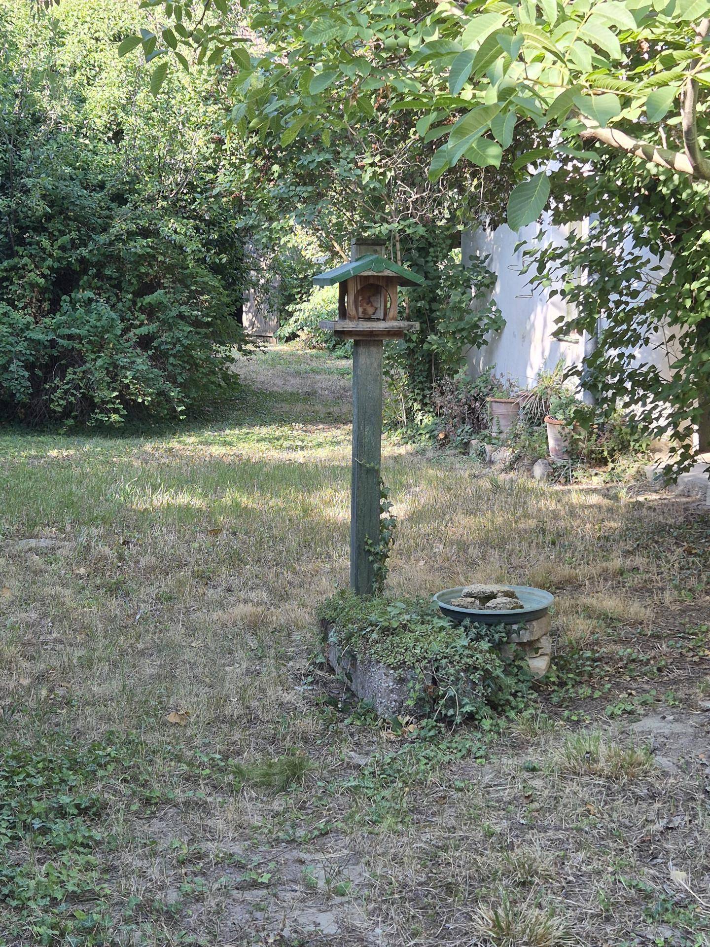 Großer Gartenbereich mit Rasen, Bäumen und einem Vogelhäuschen.