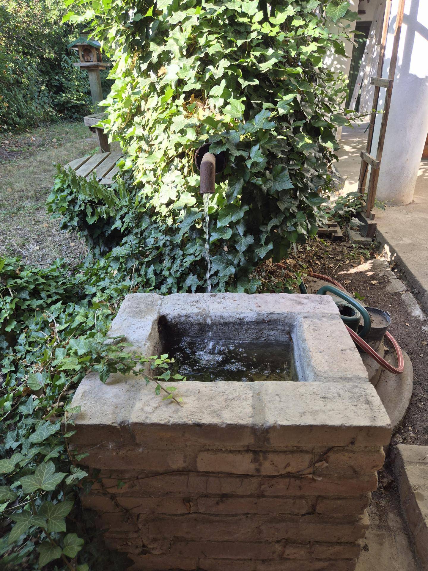 Rustikaler Brunnen im Garten, umgeben von üppigem Grün und Efeu.