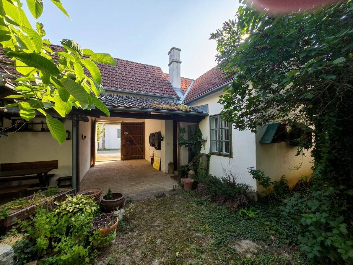 Sonniger Innenhof mit üppigem Grün, Topfpflanzen und Zugang zu einem überdachten Bereich.