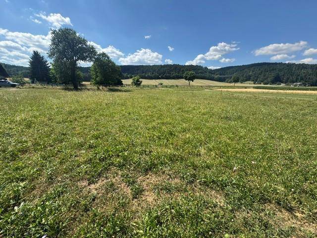 Sonniges Feld mit grüner Wiese und bewaldeten Hügeln im Hintergrund unter blauem Himmel.