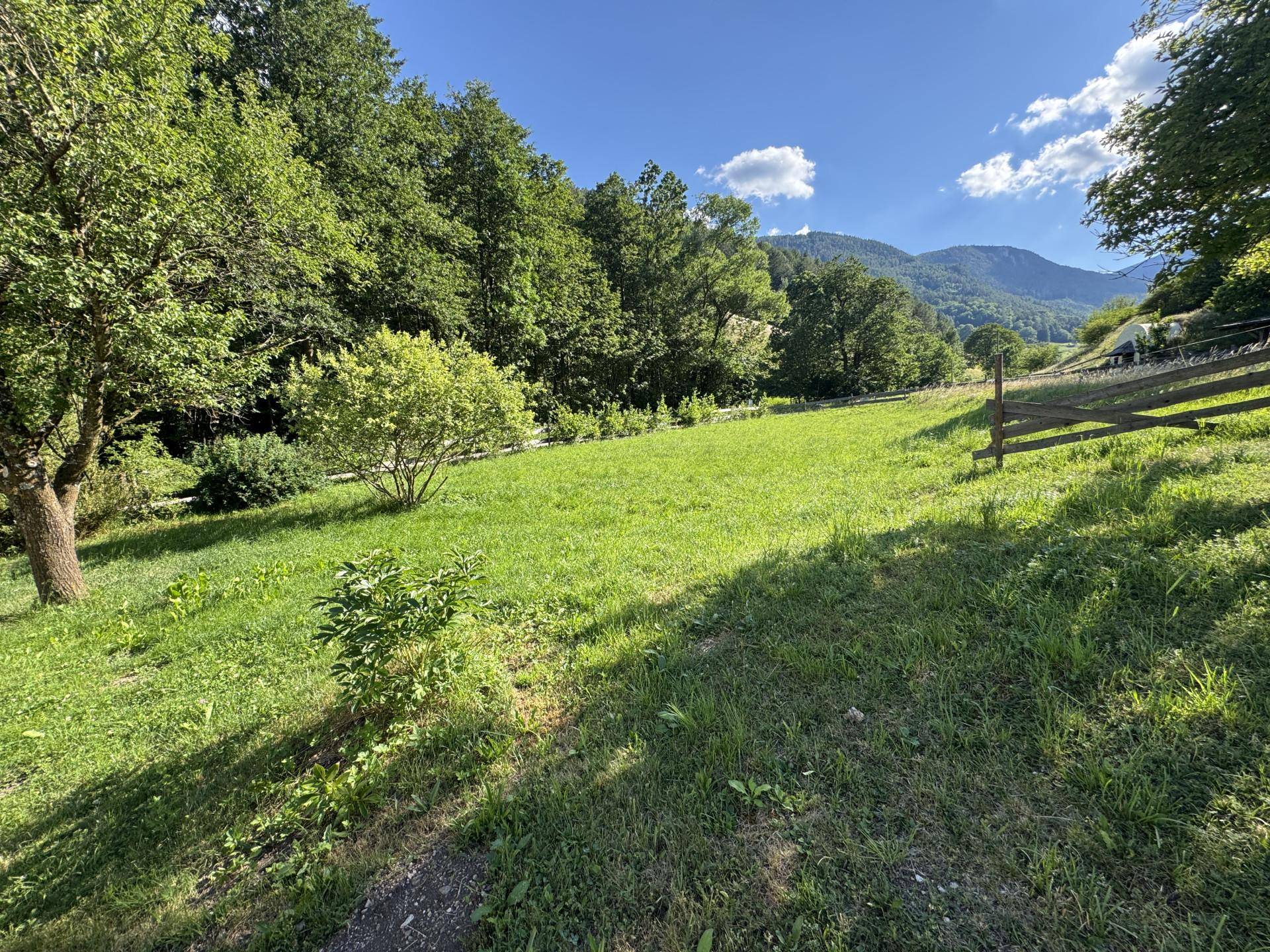 Weitläufige grüne Wiese mit Bäumen und Bergen im Hintergrund an einem sonnigen Tag.