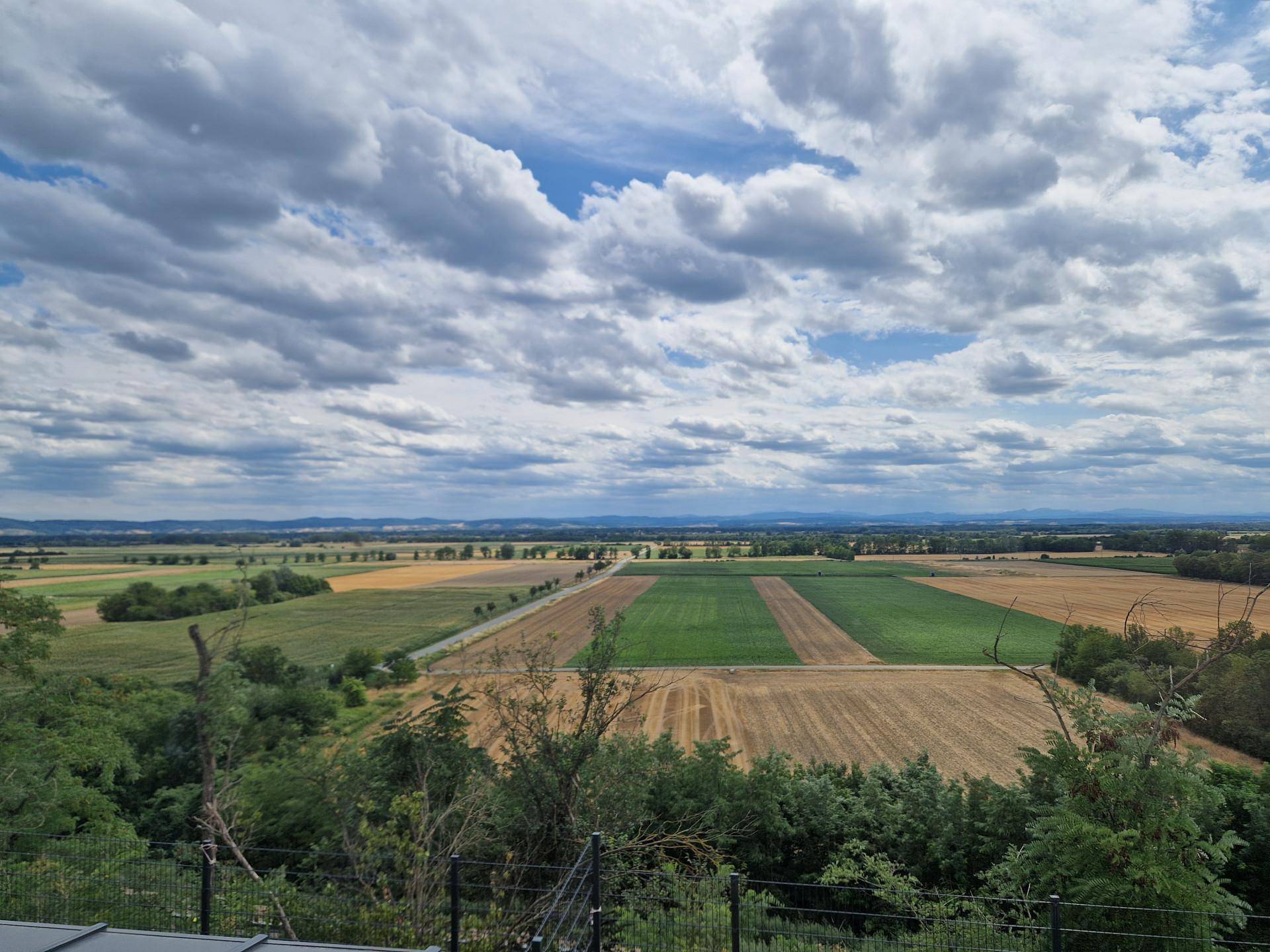 Weitläufiger Blick über Felder und grüne Landschaften unter einem bewölkten Himmel.