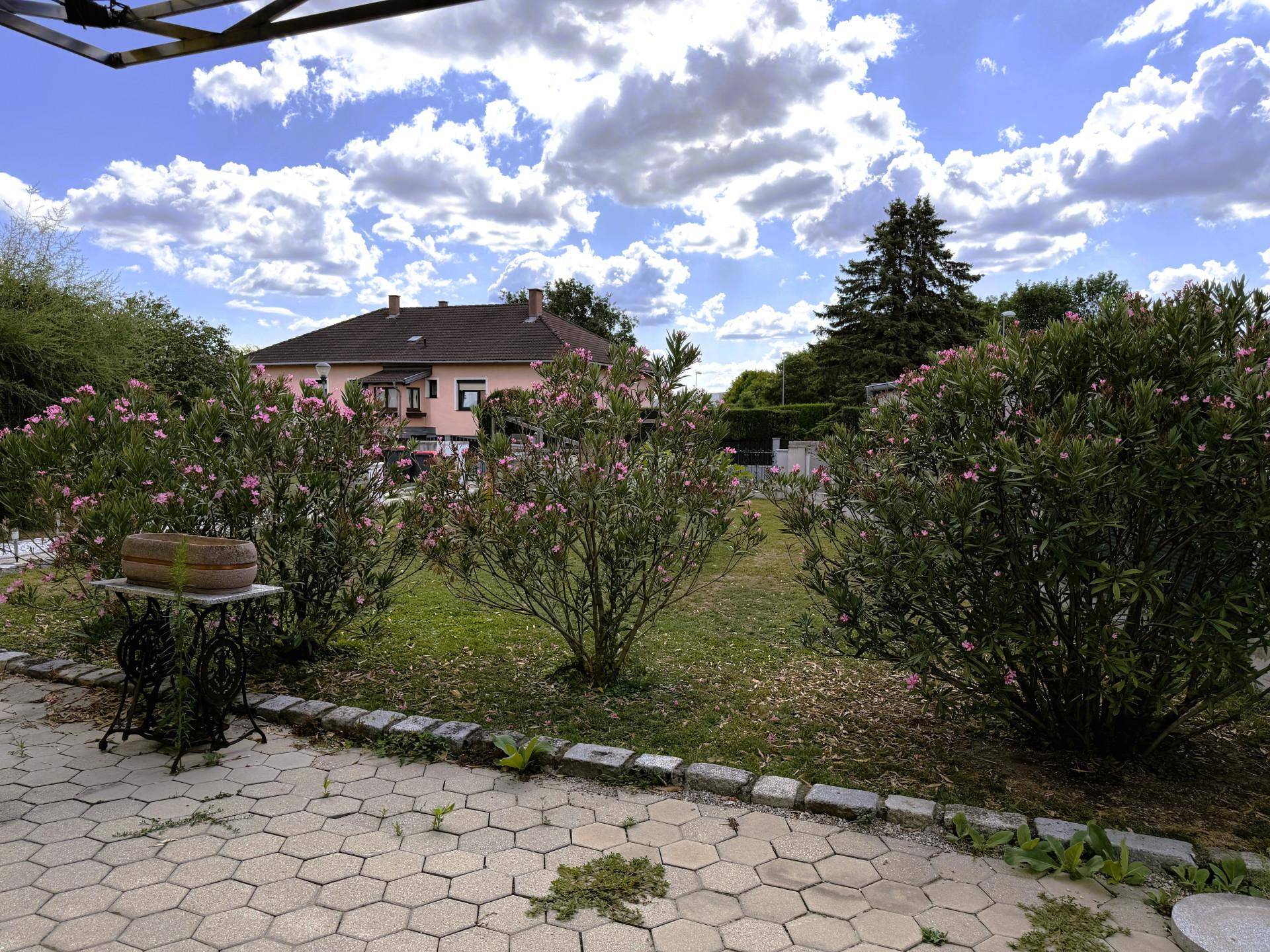 Gepflegter Garten mit blühenden Sträuchern und einer gepflasterten Terrasse im Hintergrund.