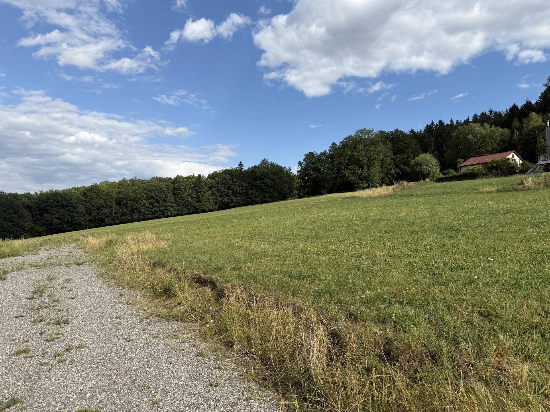 Sanft ansteigende Wiese mit Schotterweg und dichtem Waldrand unter blauem Himmel.