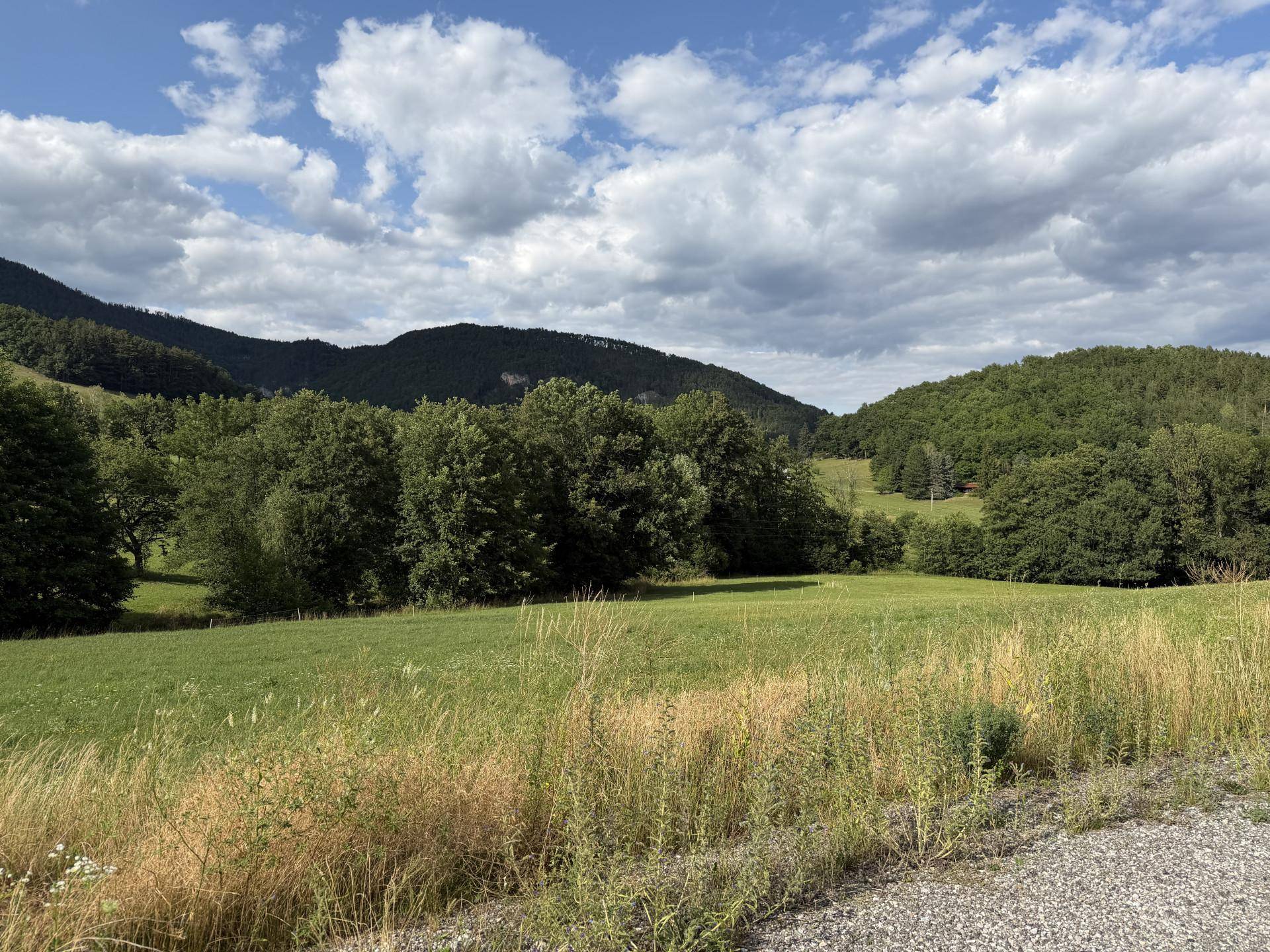 Idyllische Landschaft mit grünen Wiesen, Wäldern und sanften Hügeln unter bewölktem Himmel.