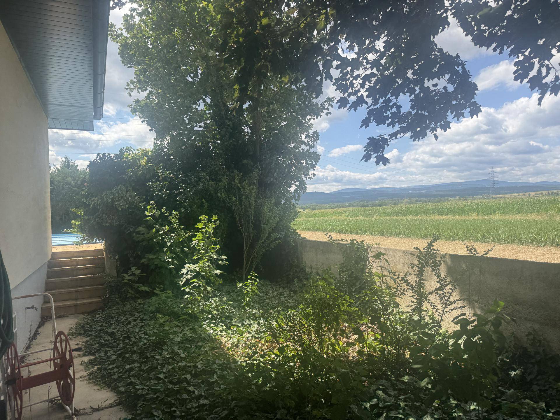Blick vom verwilderten Garten auf weite Felder und die umliegende Landschaft mit bewölktem Himmel.