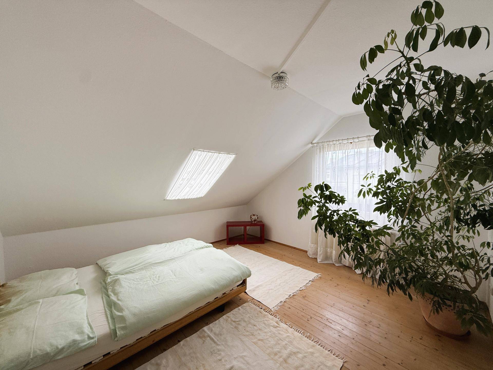 Schlafzimmer im Dachgeschoss mit Dachfenster, Holzboden und großer Zimmerpflanze.