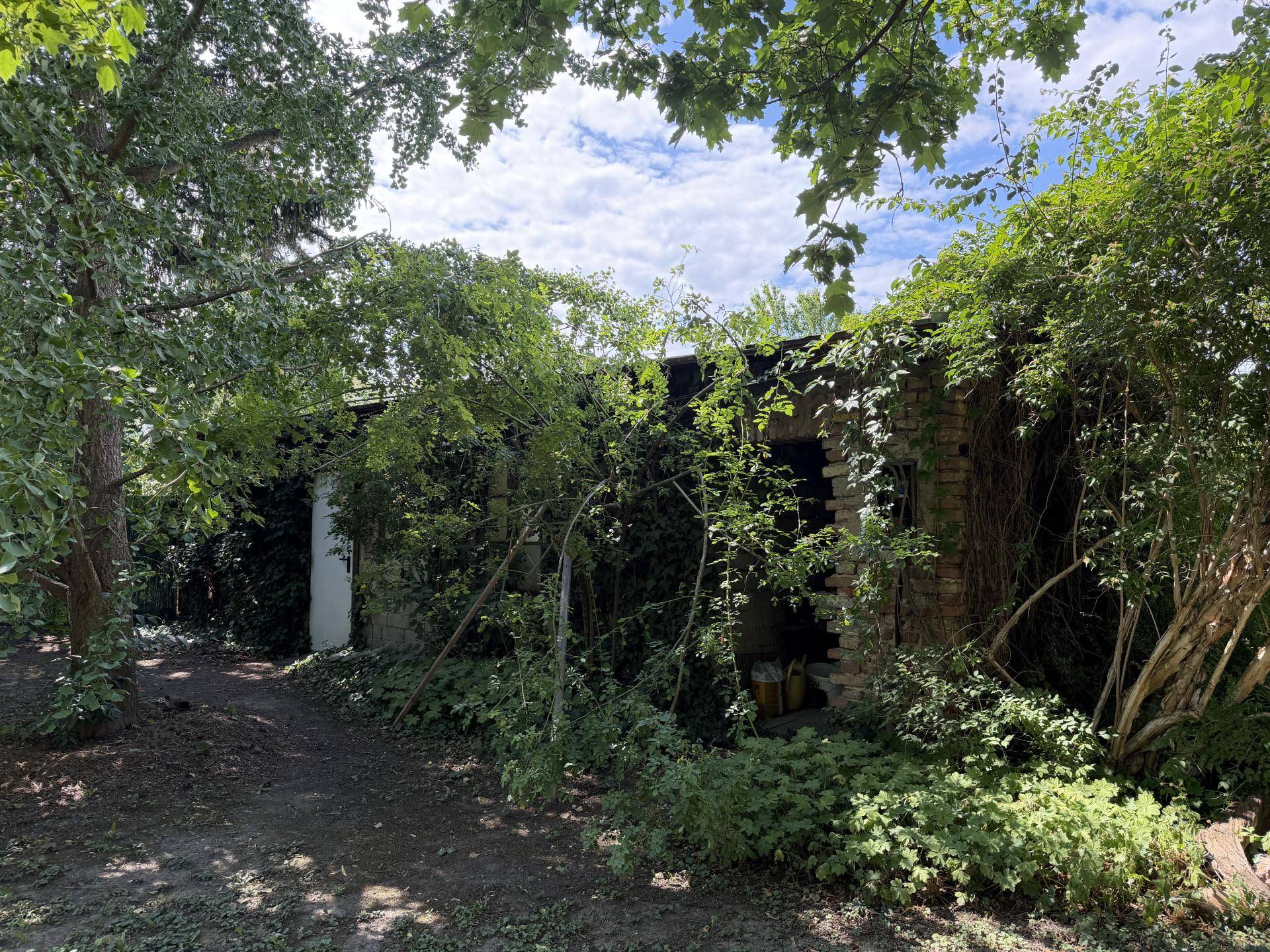 Überwachsenes Nebengebäude oder Ruine im Gartenbereich, umgeben von viel Grün.