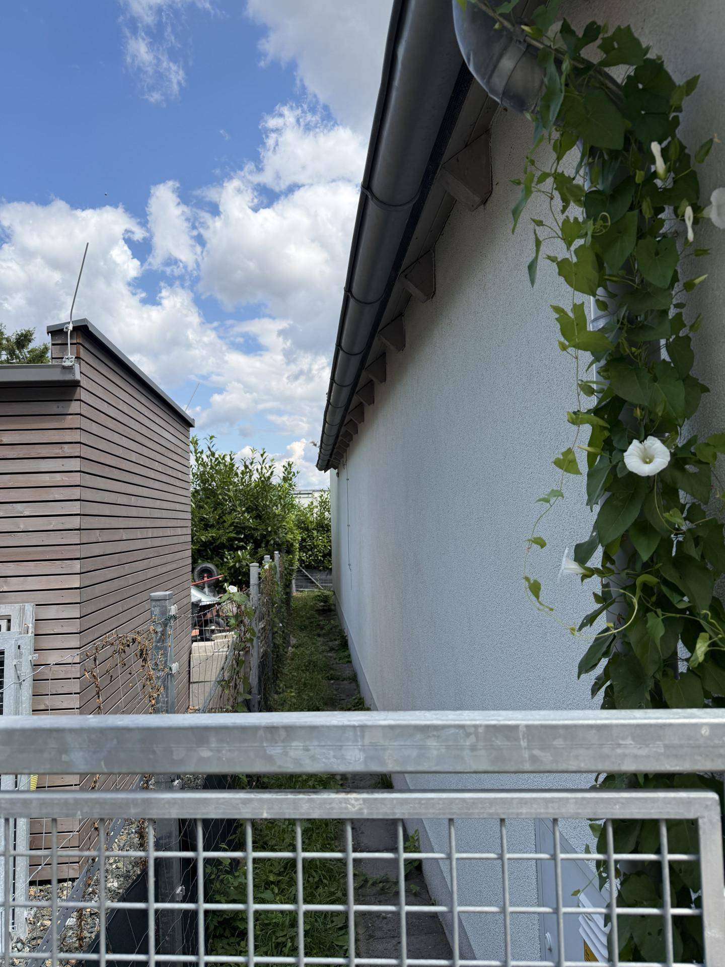 Seitenansicht eines Gebäudes mit Rankpflanzen an der Fassade und einem Zaun.