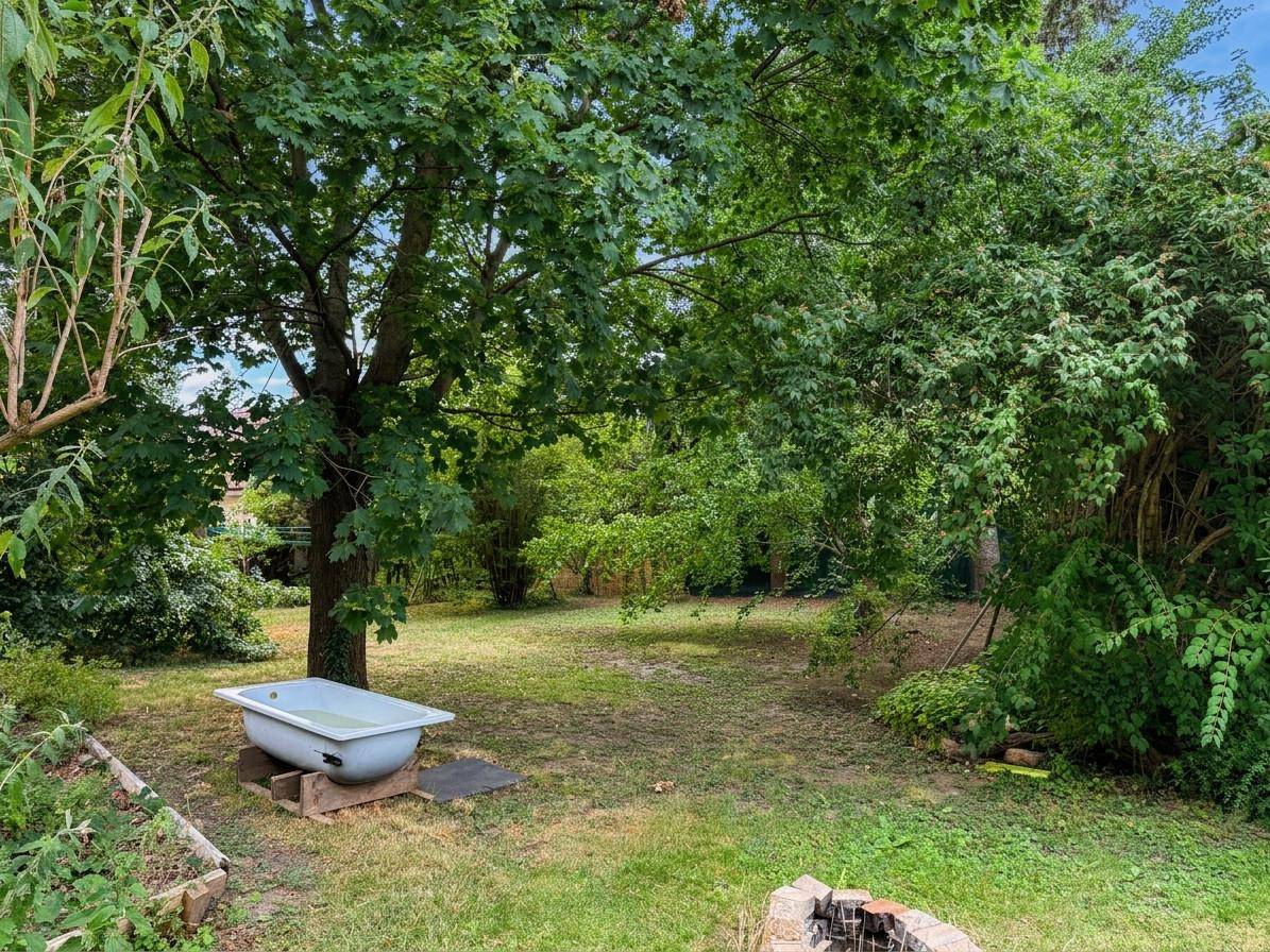 Großer, naturbelassener Garten mit alter Badewanne und Feuerstelle unter Bäumen.