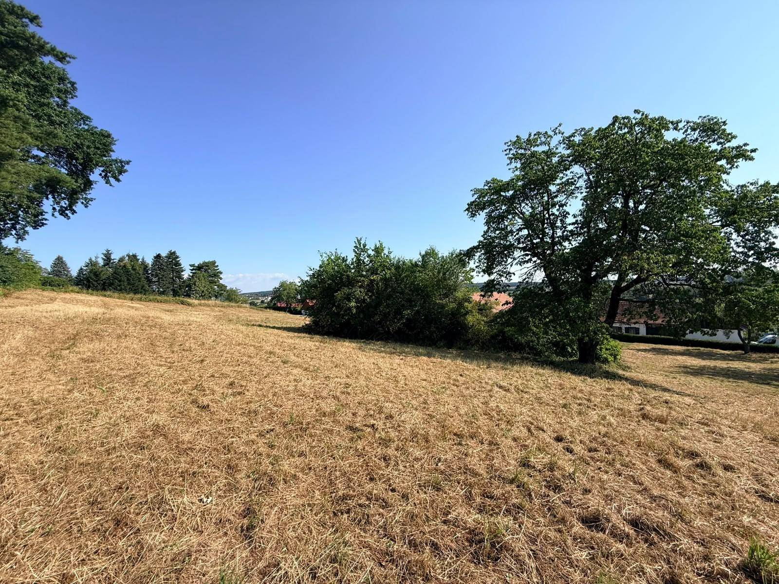 Weitläufiges Feld mit Bäumen und Büschen, umgeben von einer grünen Hügellandschaft unter blauem Himmel.