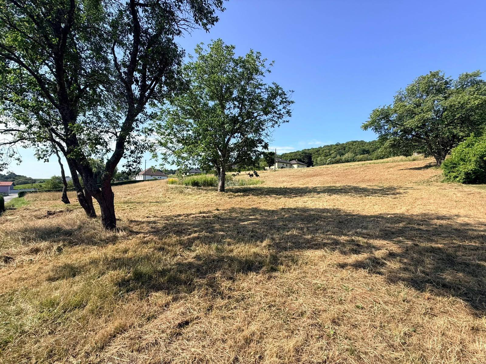 Offenes Feld mit mehreren Bäumen und Blick auf die umliegende grüne Landschaft unter klarem Himmel.