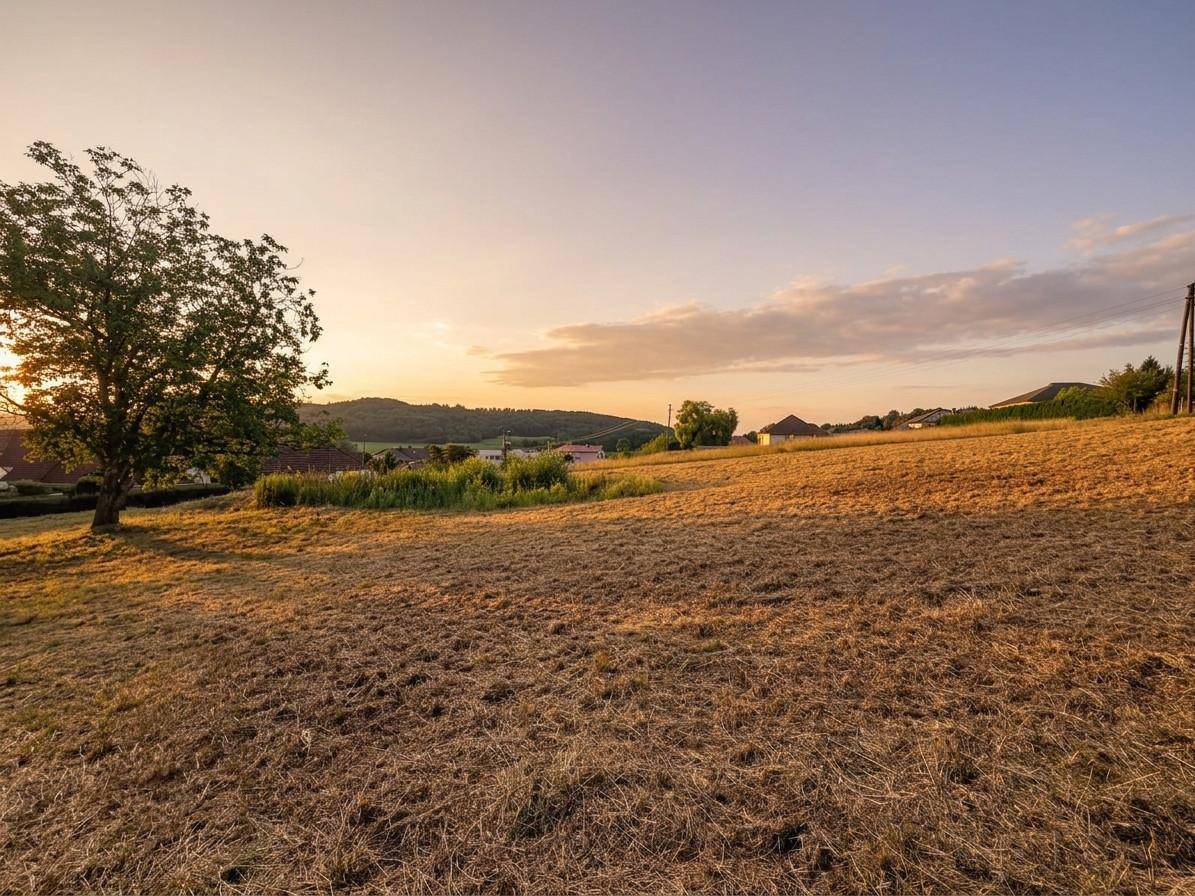 Feld bei Sonnenuntergang mit warmer Beleuchtung, entfernten Häusern und hügeliger Landschaft.