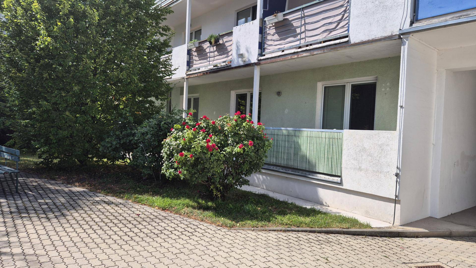 Gepflegter Gartenbereich mit blühenden Pflanzen und Zugang zum Gebäude.