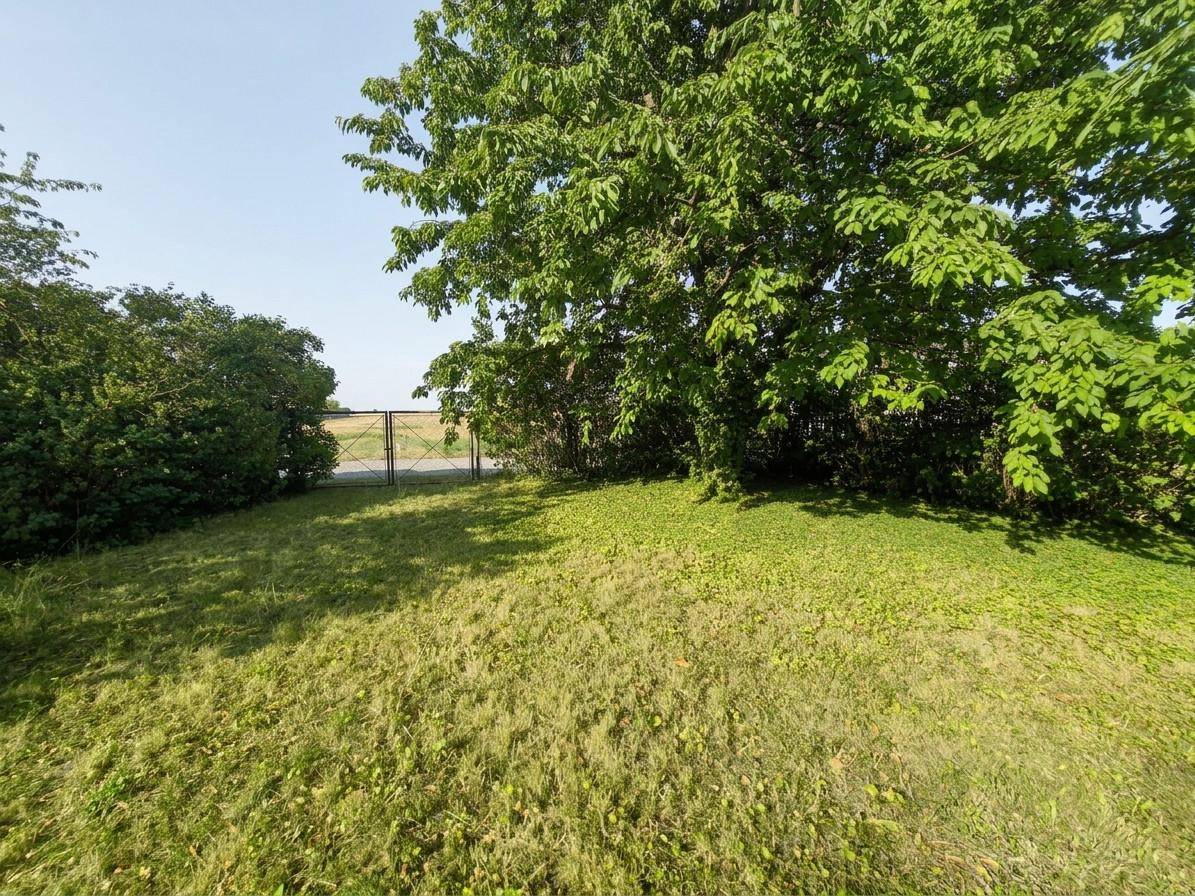 Grüne Rasenfläche mit großem Baum und Blick auf ein Tor zu offenen Feldern.