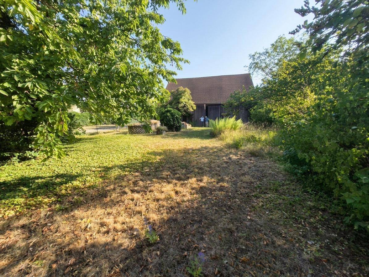 Großer, naturbelassener Gartenbereich mit altem Baumbestand und Blick auf das Hauptgebäude.