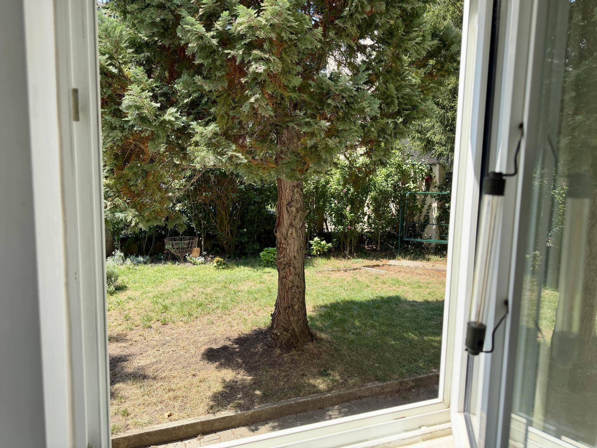 Blick aus dem Fenster in einen grünen Garten mit einem großen Baum und Rasenfläche.