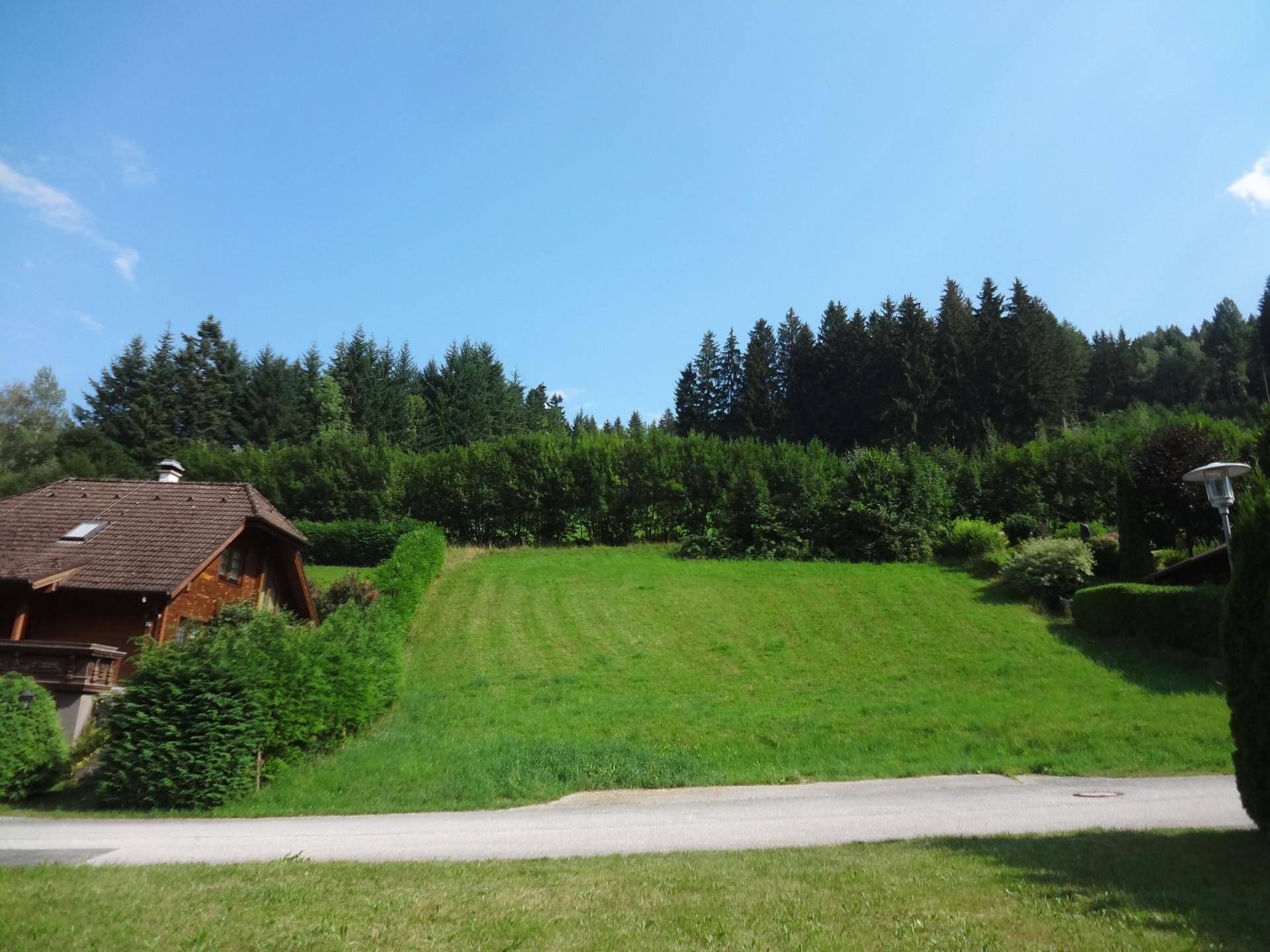 Idyllisches Holzhaus mit großem Rasen und Waldrand, gelegen an einer ruhigen Landstraße.