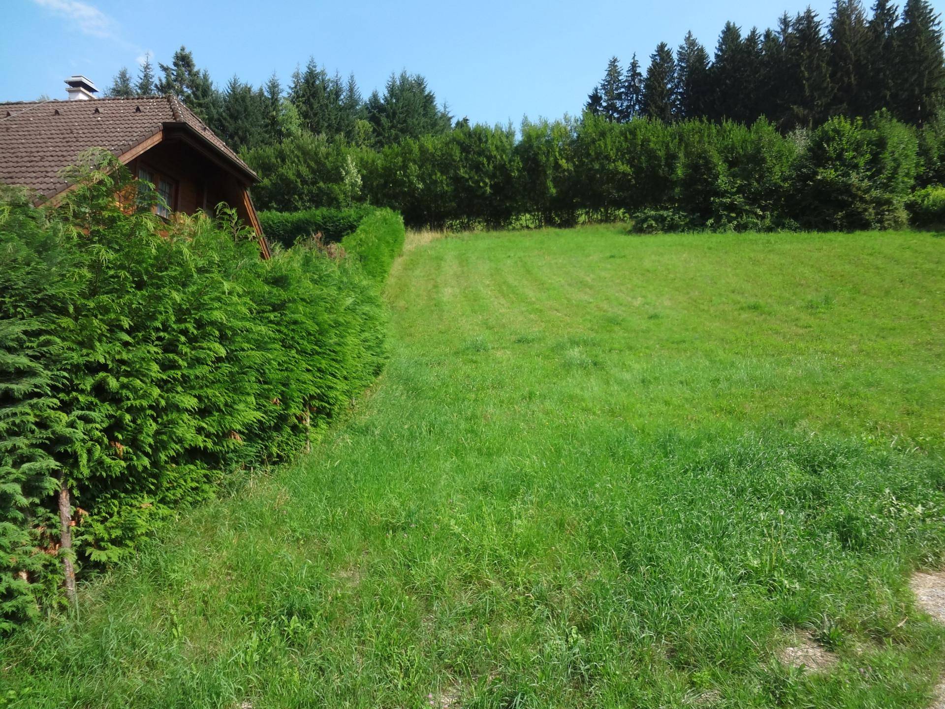Weitläufiges Rasengrundstück neben einem Holzhaus, umgeben von einer dichten Hecke und Wald.