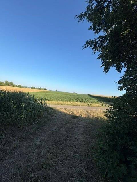 Weitläufige Landschaft mit Feldern, einer Straße und Bäumen am Horizont unter blauem Himmel.