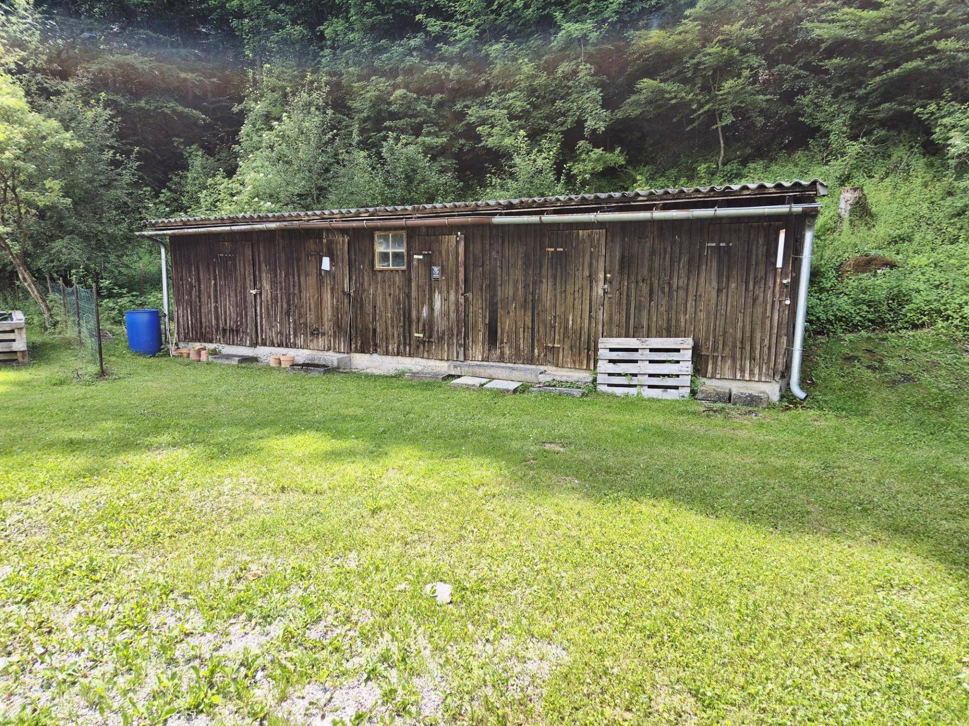 Rustikaler Holzschuppen auf einer grünen Wiese mit dichtem Baumbestand im Hintergrund.