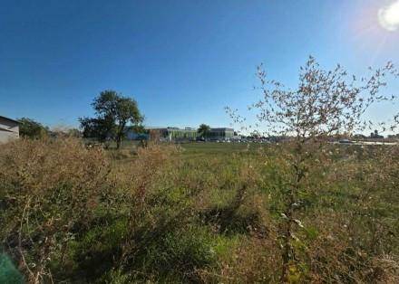 Weitläufiges Feld mit Gras und Büschen unter blauem Himmel, im Hintergrund sind Gebäude sichtbar.