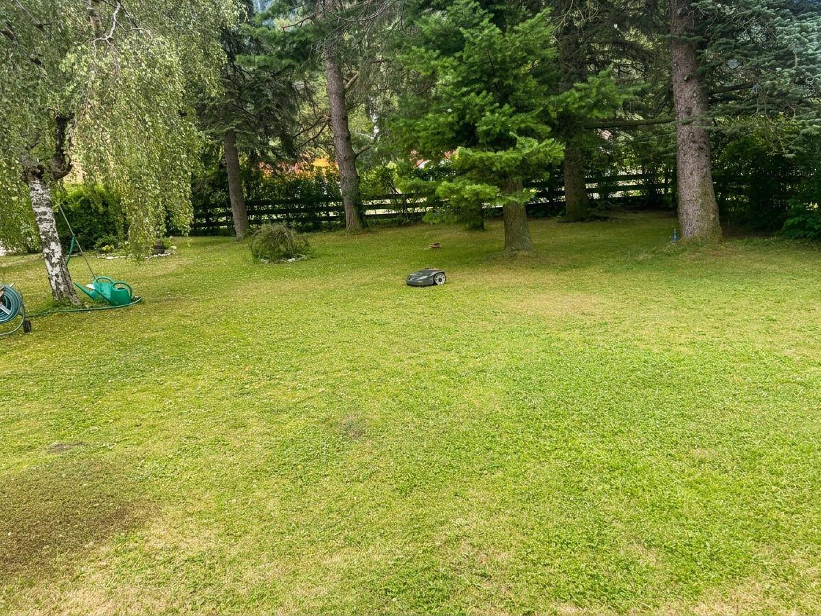 Gepflegter Rasen mit hohen Bäumen und einem Mähroboter in einer ruhigen Gartenanlage.