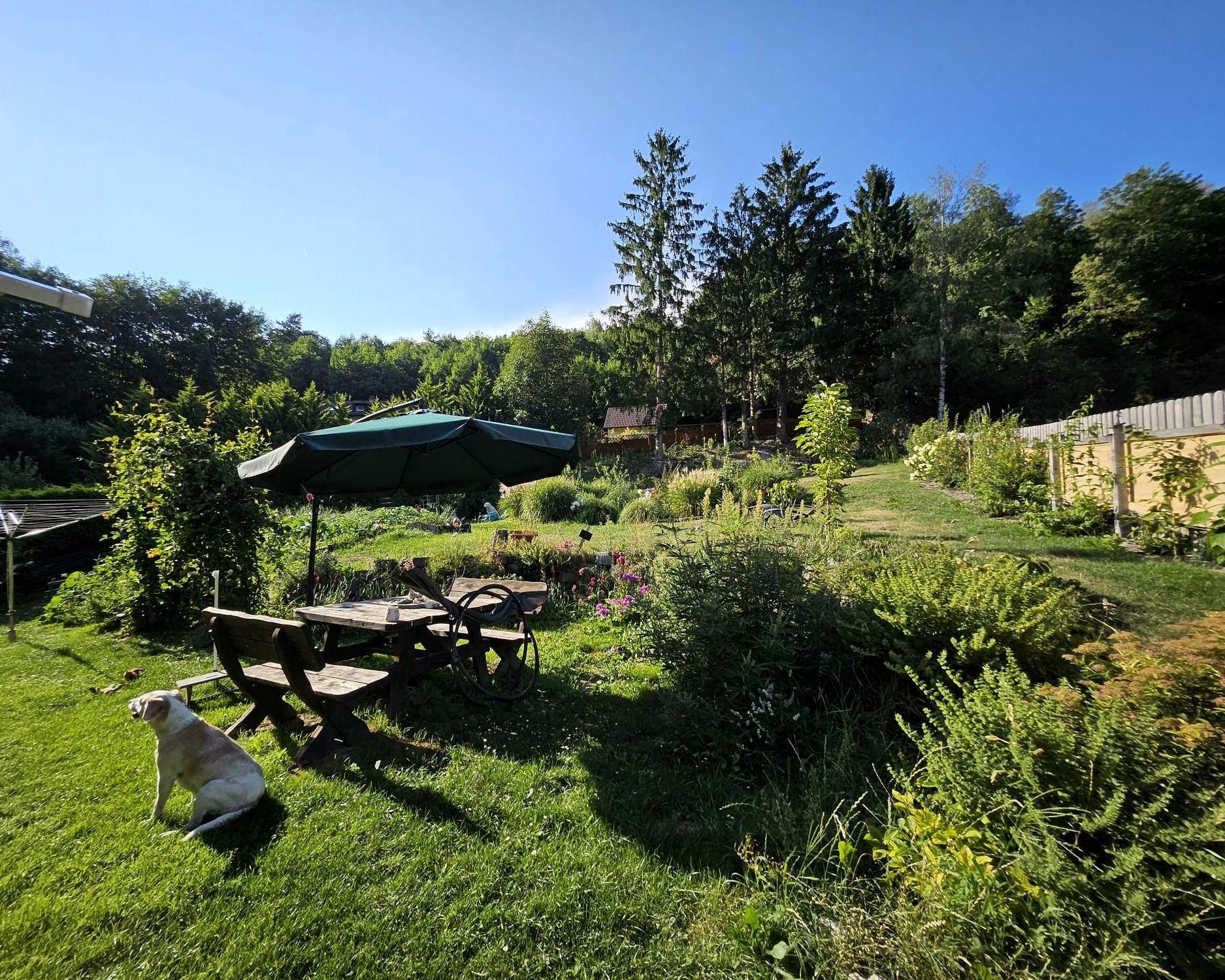 Großer, gepflegter Garten mit Rasenfläche, Sitzgelegenheiten und üppiger Vegetation unter blauem Himmel.