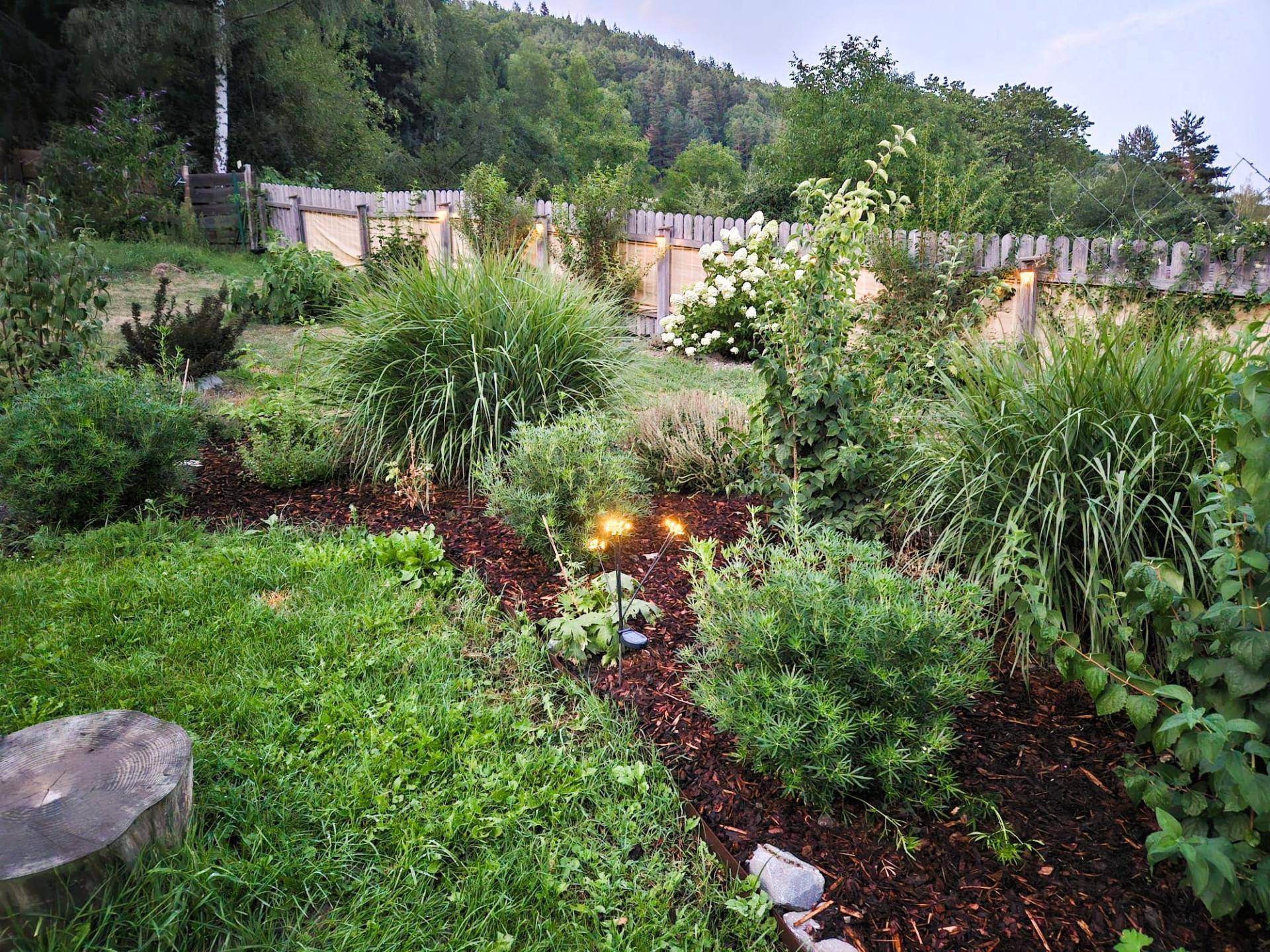 Gepflegter Gartenbereich mit verschiedenen Pflanzen, Mulchbeeten und dezenter Beleuchtung am Abend.