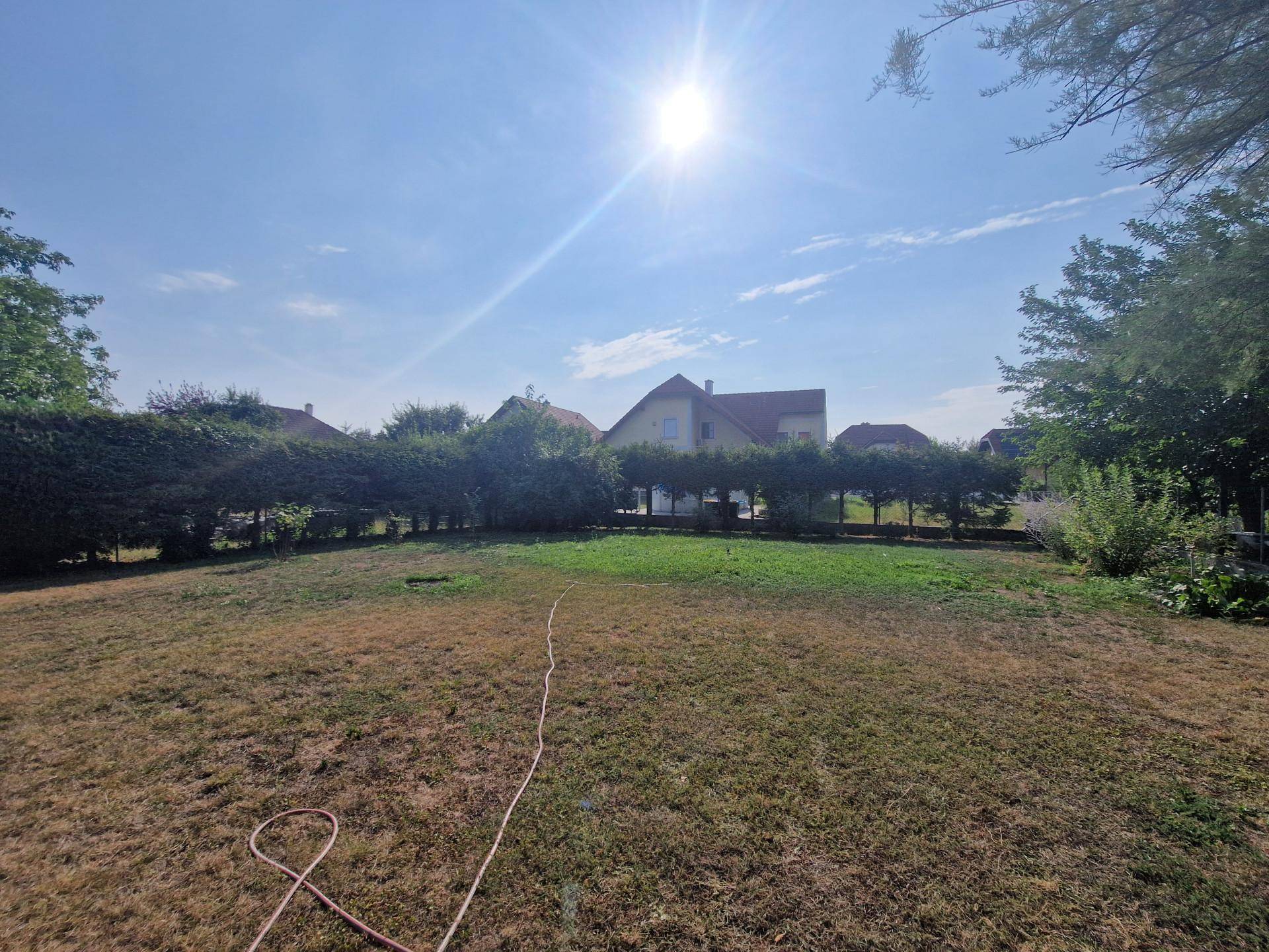 Große, sonnige Rasenfläche im Garten mit Hecken und Bäumen im Hintergrund.
