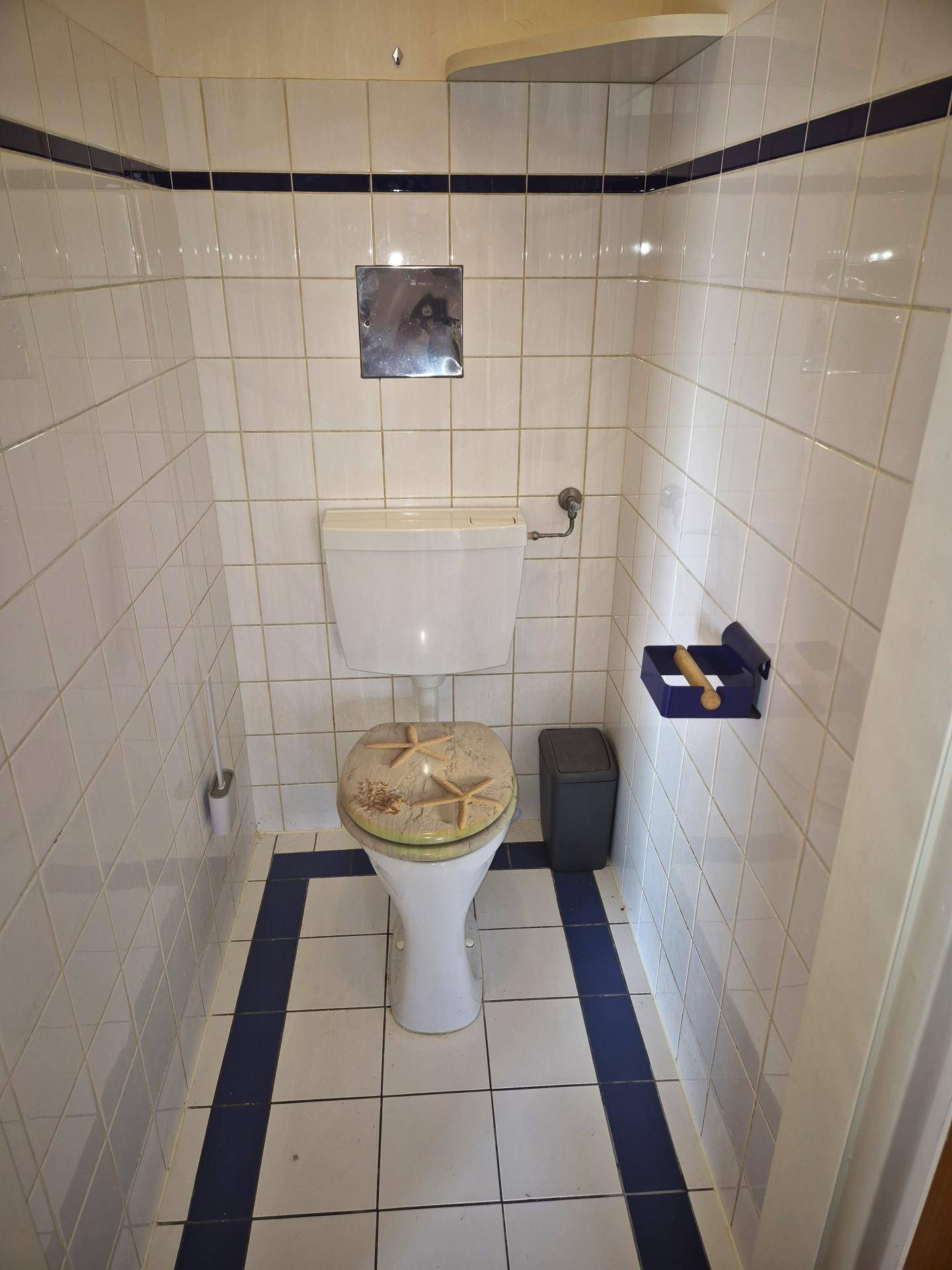Separates WC mit weiß-blauen Fliesen und einfacher Toilettenausstattung.