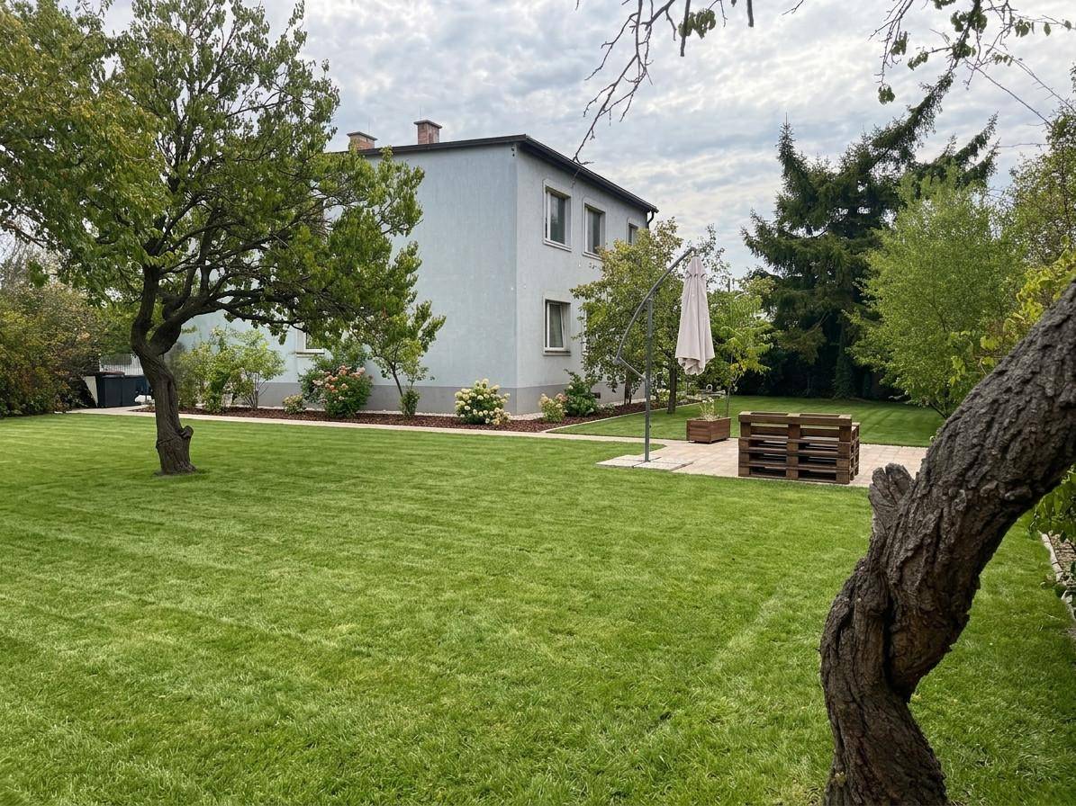 Großer, gepflegter Rasenbereich mit Bäumen und einer kleinen Sitzecke im Garten hinter dem Haus.