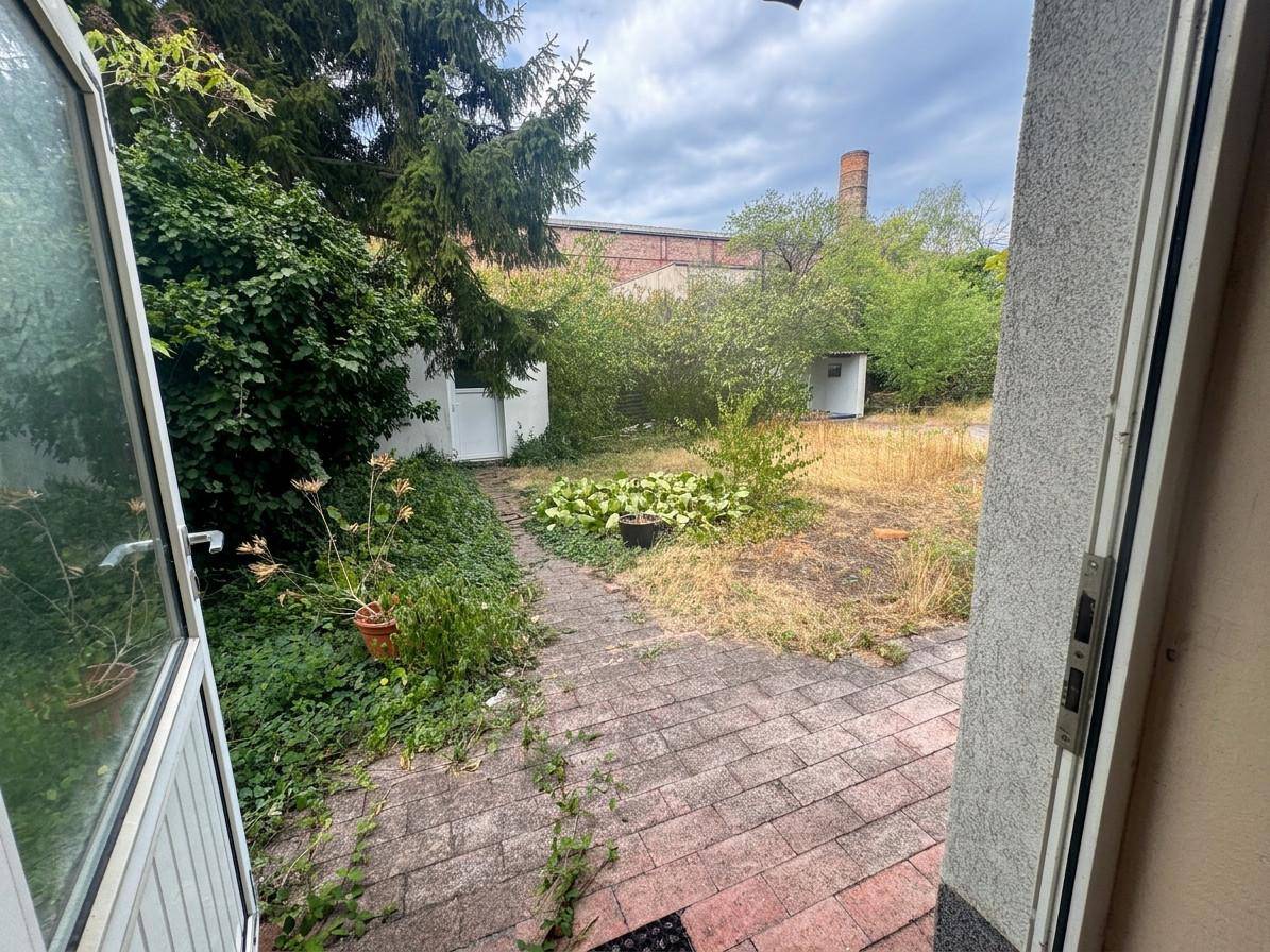 Gepflasterter Bereich führt zu einem verwilderten Garten mit trockenem Gras und Sträuchern.