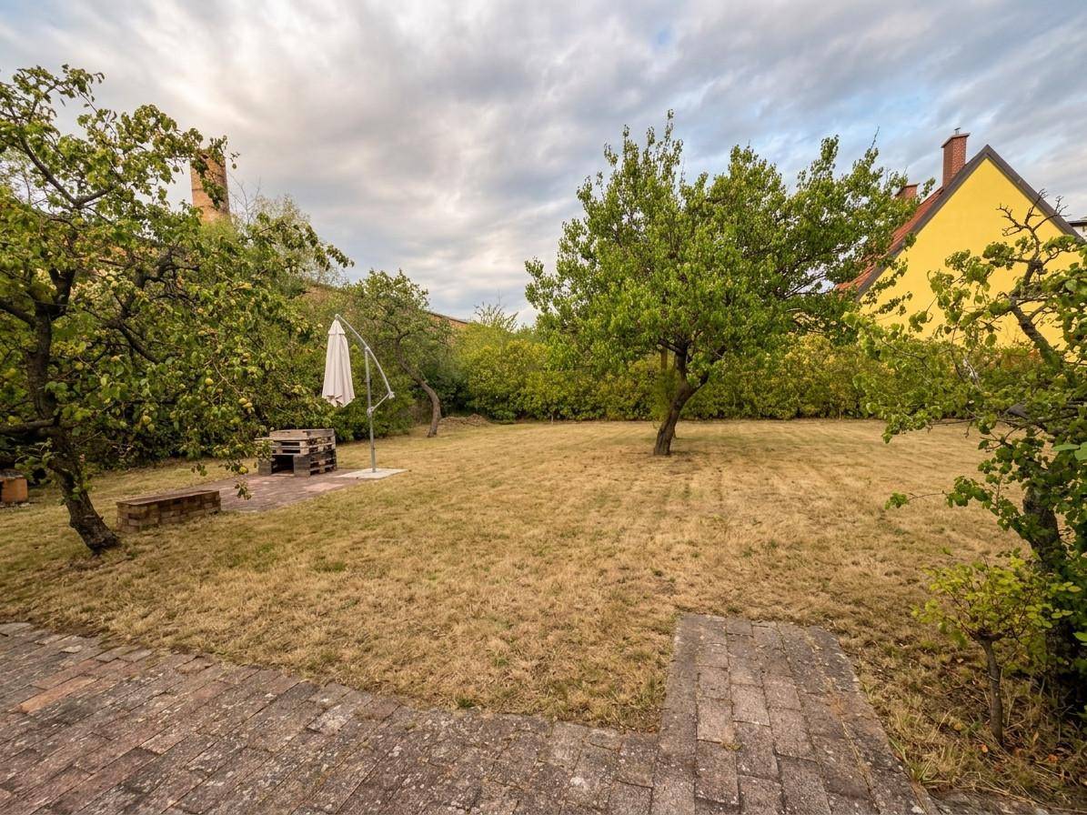 Gartenbereich mit trockenem Rasen, zwei Bäumen und einem Sonnenschirm, teilweise gepflastert.