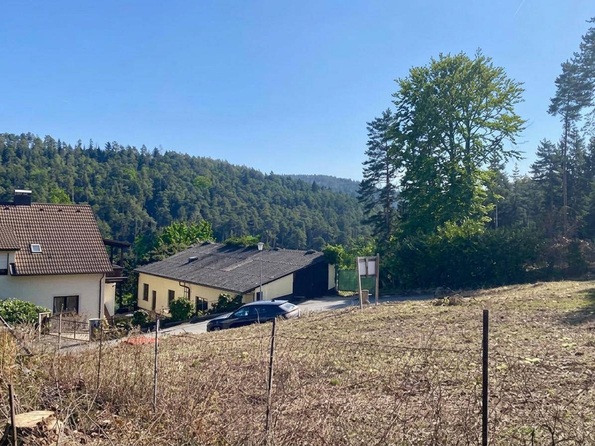 Blick auf ein Wohnhaus mit angrenzendem Waldgebiet und einem Auto auf dem Grundstück.