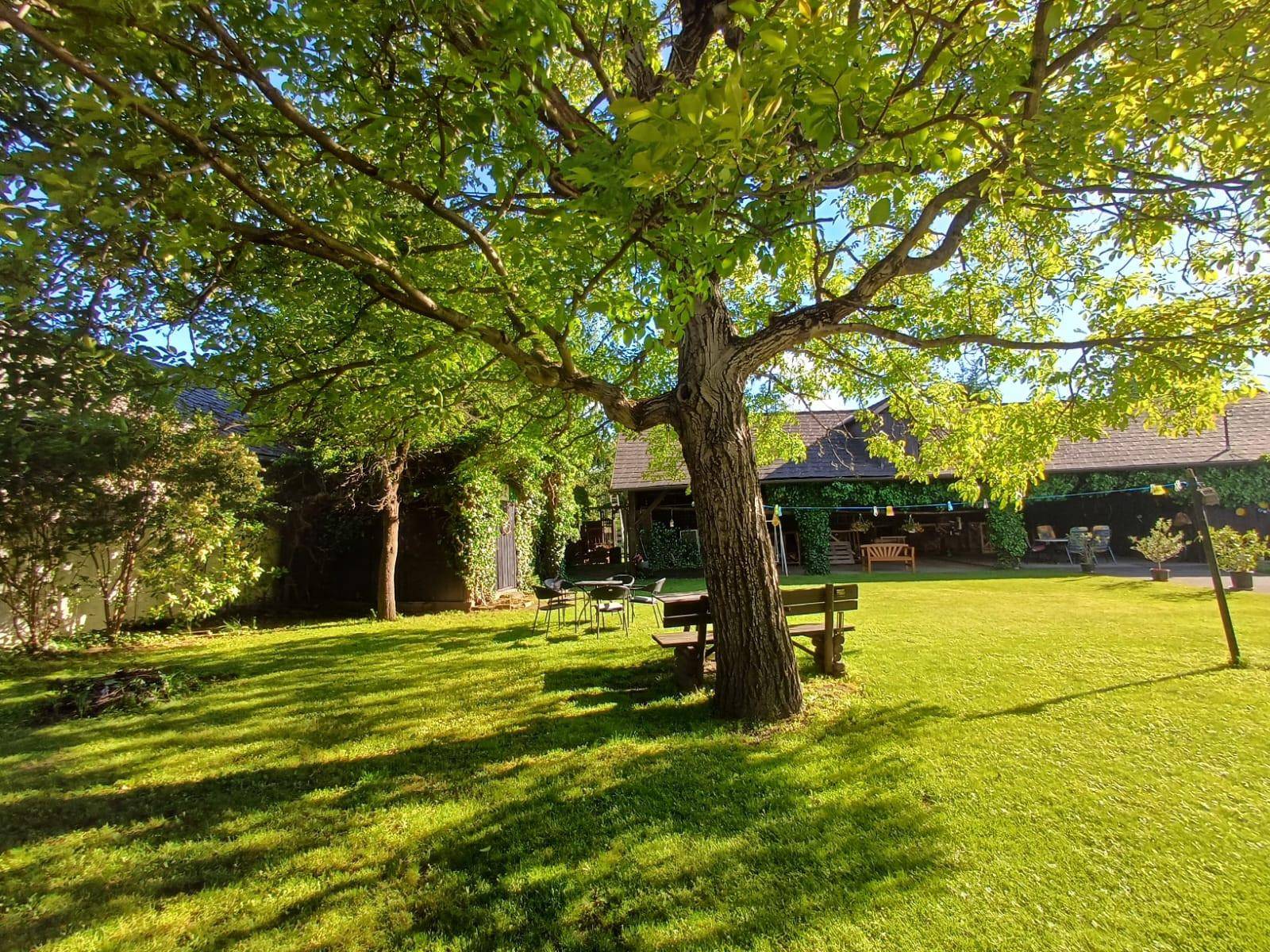 Großer, gepflegter Garten mit altem Baum, Sitzgelegenheiten und viel Grünfläche.