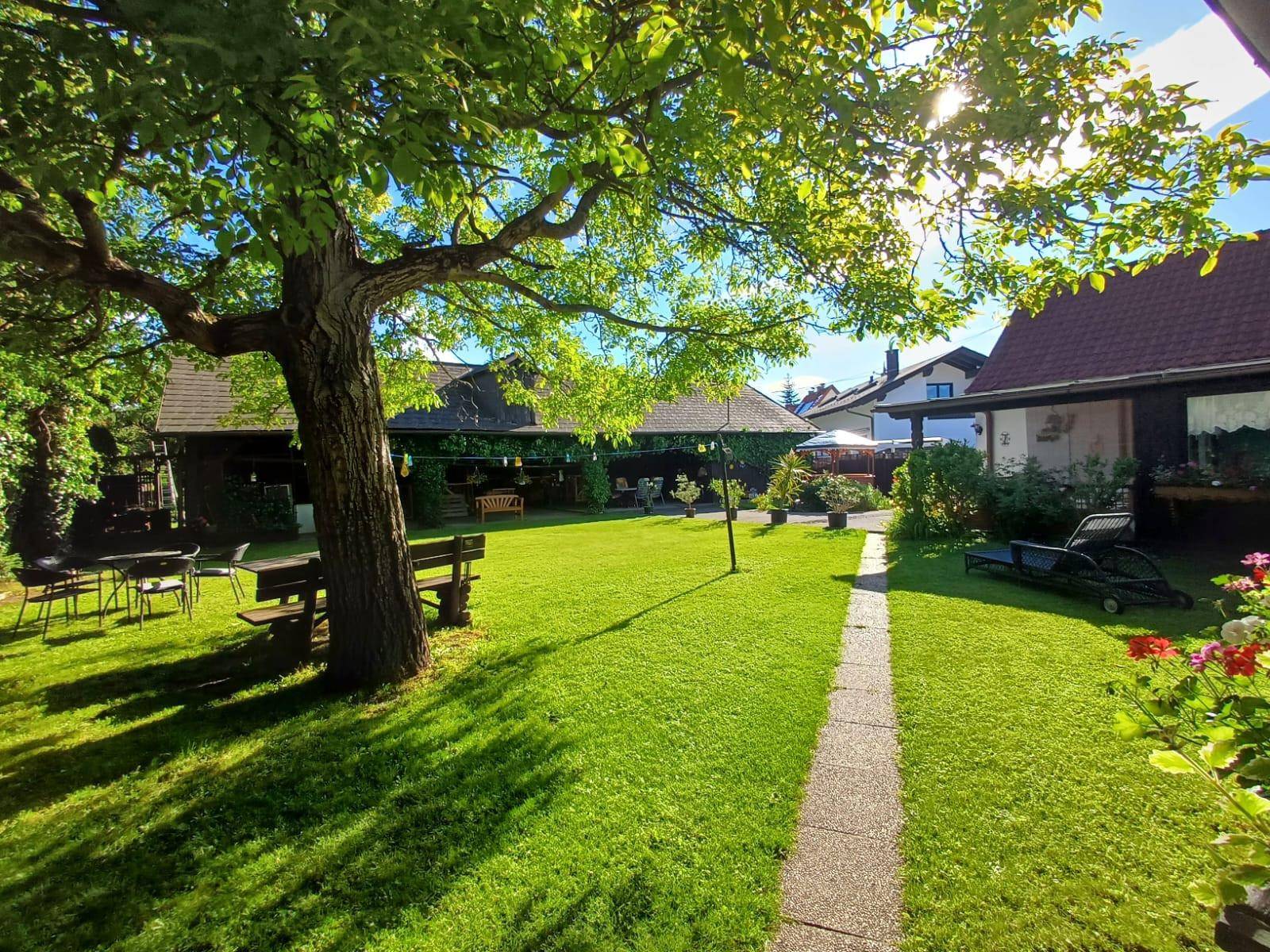 Sonniger Garten mit Rasenfläche, Steinweg und schattenspendendem Baum, ideal zum Entspannen.