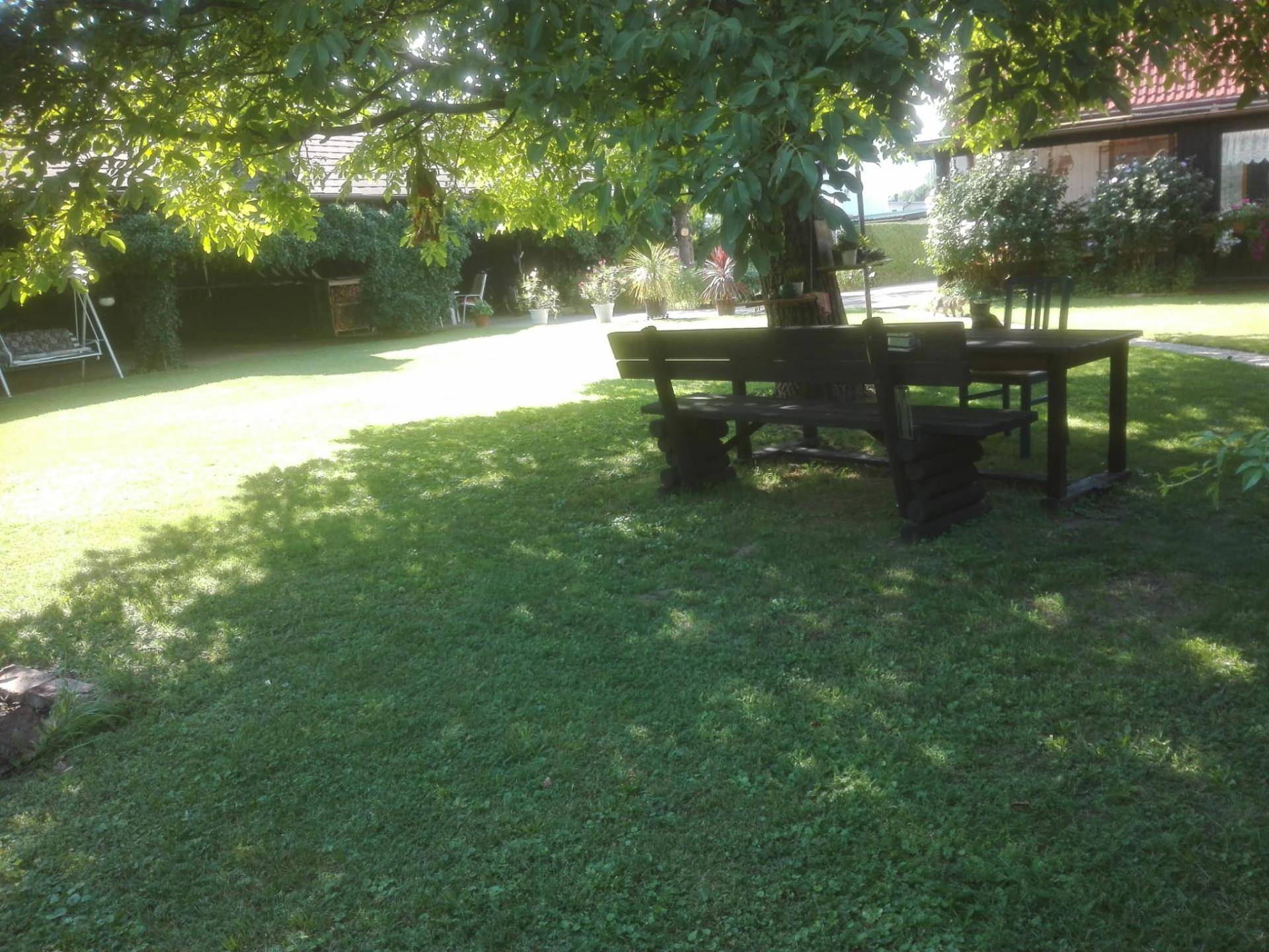 Schattiger Gartenbereich unter einem großen Baum mit rustikalen Holzmöbeln für gemütliche Stunden.