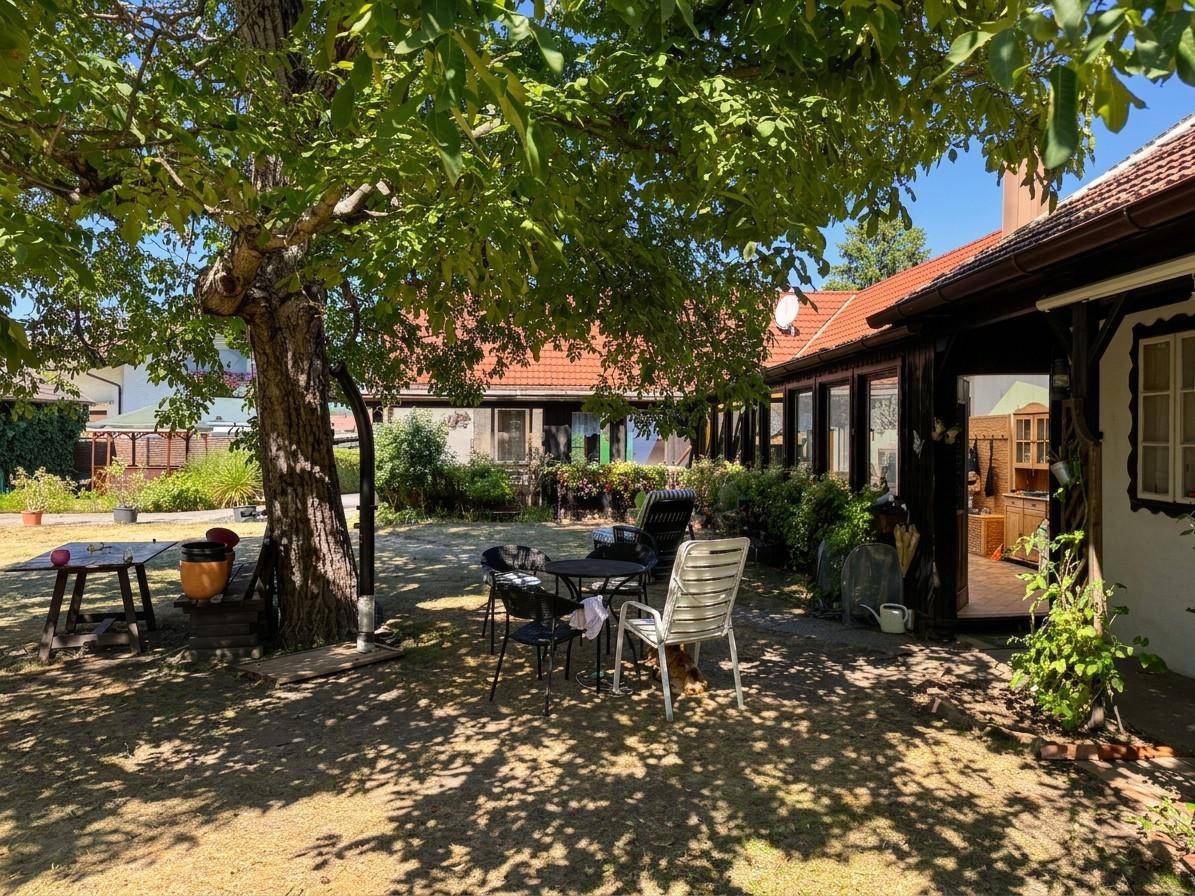 Sonniger Garten mit Rasen, schattenspendendem Baum und Sitzgelegenheiten vor dem Haus.