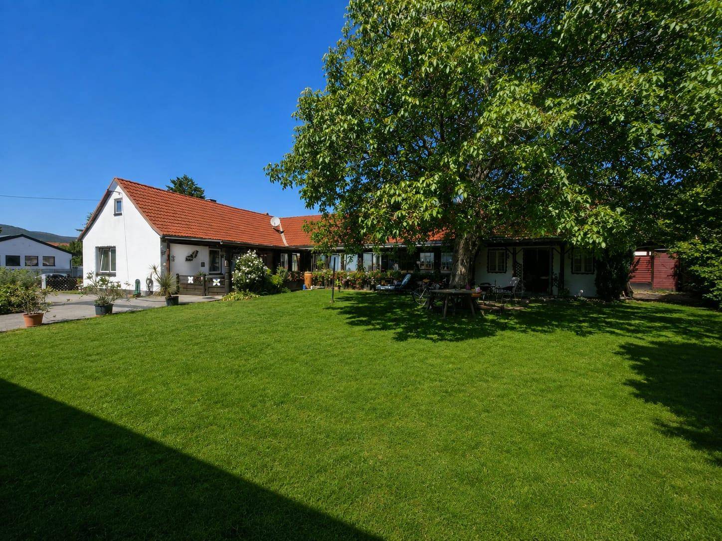 Weitläufiger grüner Rasen mit großem Baum und Blick auf das Wohnhaus unter blauem Himmel.