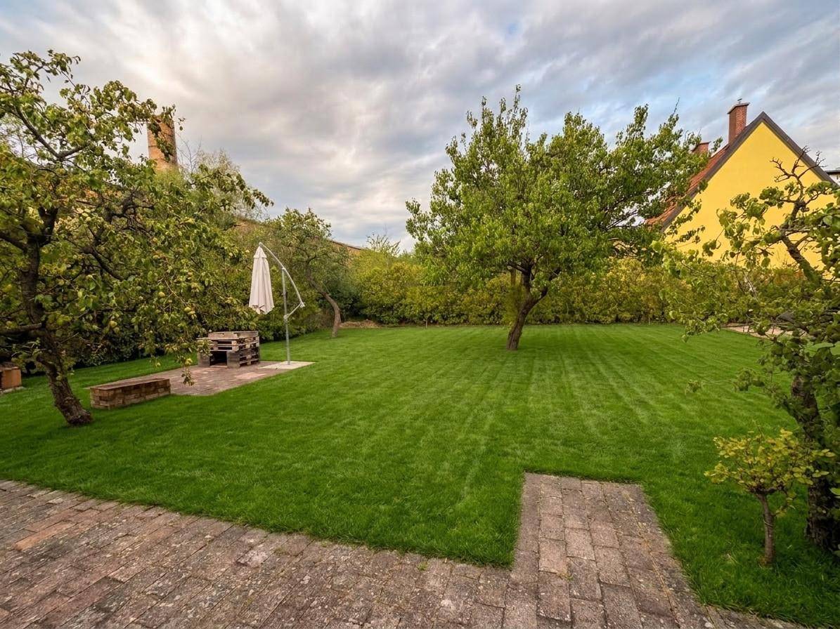 Gepflegter Gartenbereich mit Rasen, Bäumen und einer kleinen gepflasterten Terrasse mit Sitzgelegenheiten.