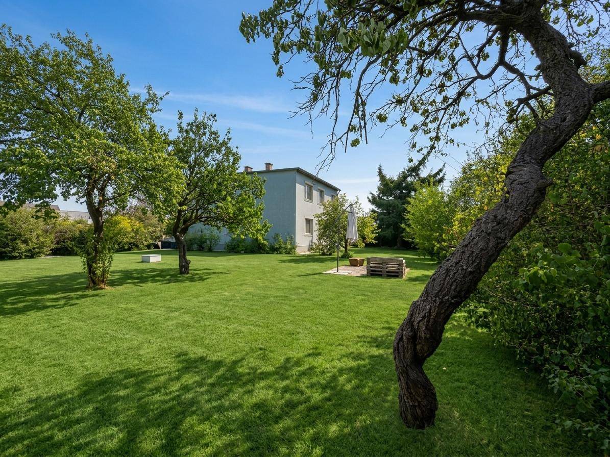 Sonniger Garten mit großem Rasen, alten Bäumen und dem hellgrauen Gebäude im Hintergrund, ideal zum Entspannen.