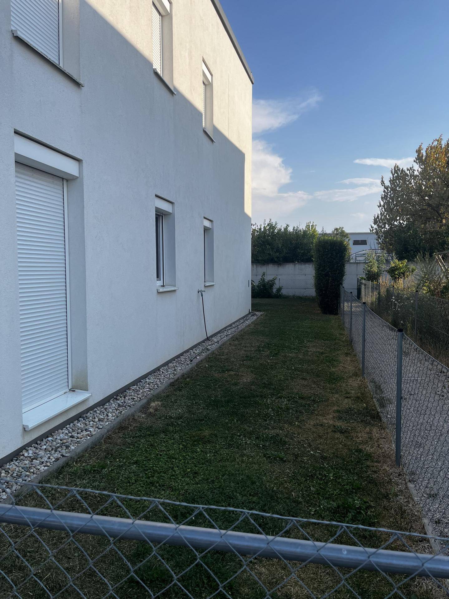 Seitlicher Gartenbereich mit Rasenfläche, Kiesstreifen und blickdichter Hecke.