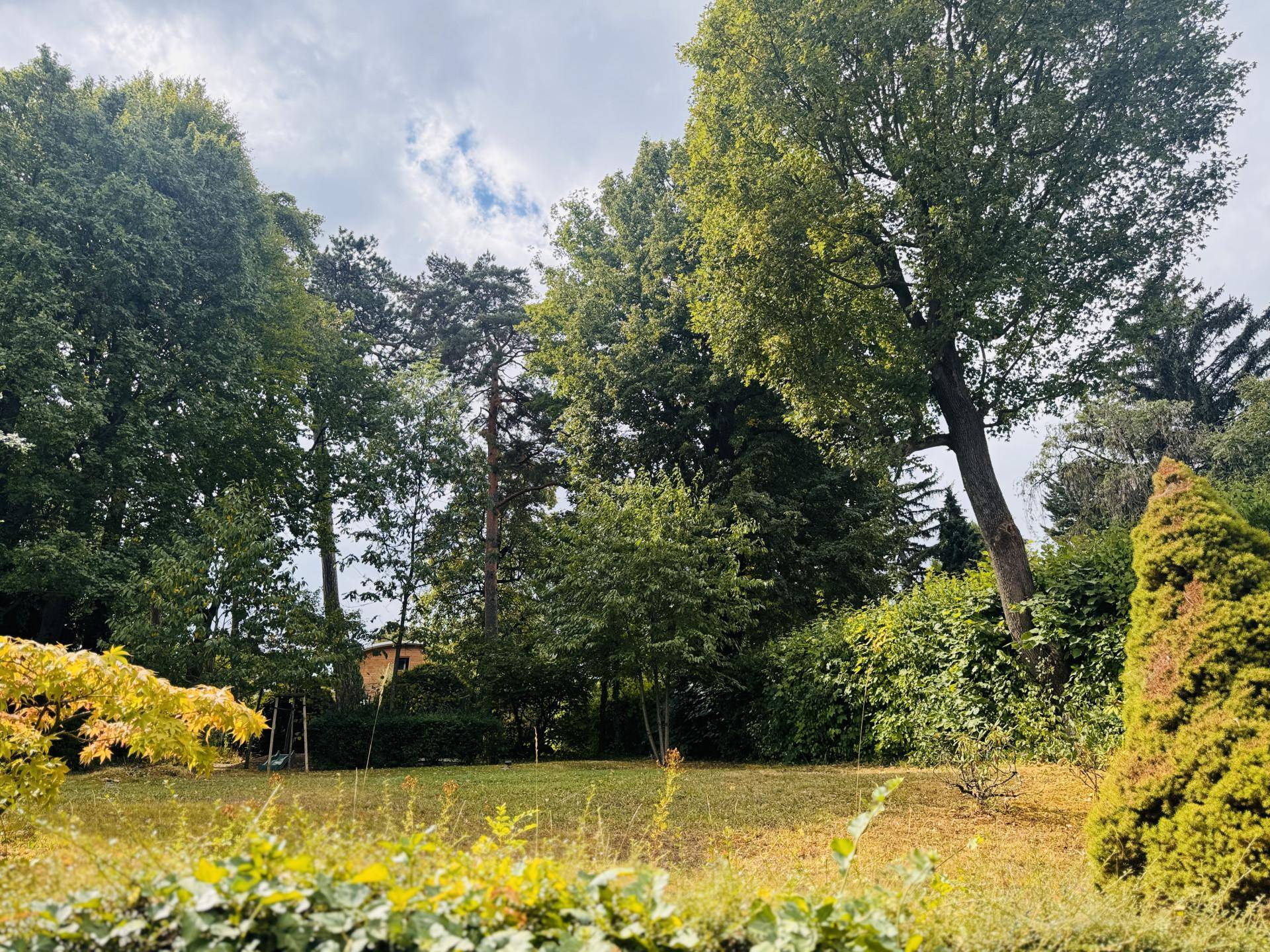 Großer, gepflegter Garten mit altem Baumbestand und viel Grünfläche unter blauem Himmel.