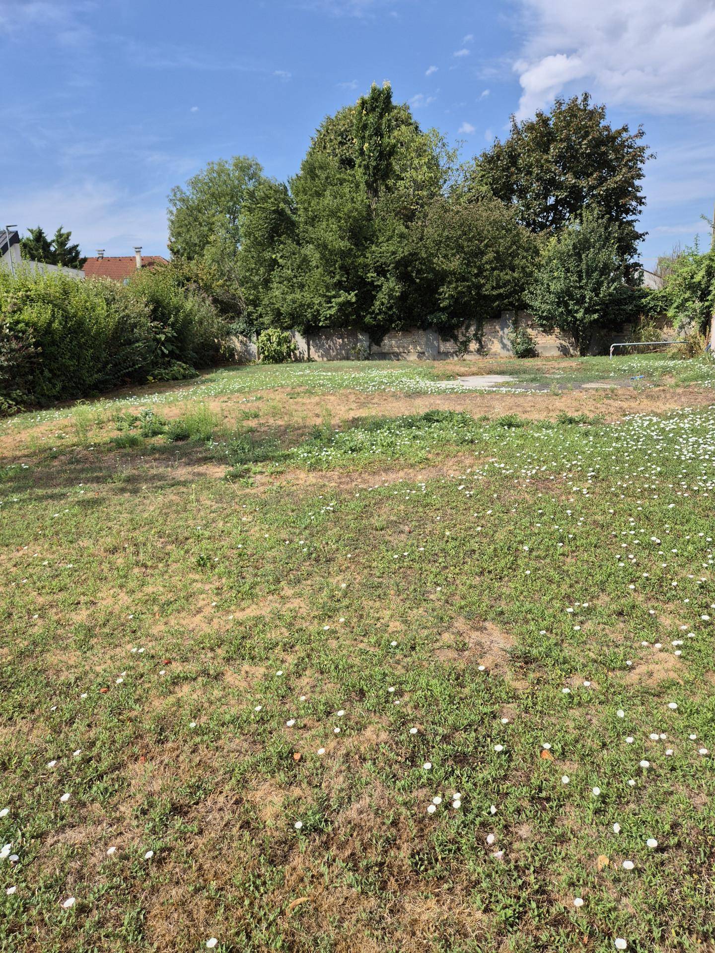 Garten1